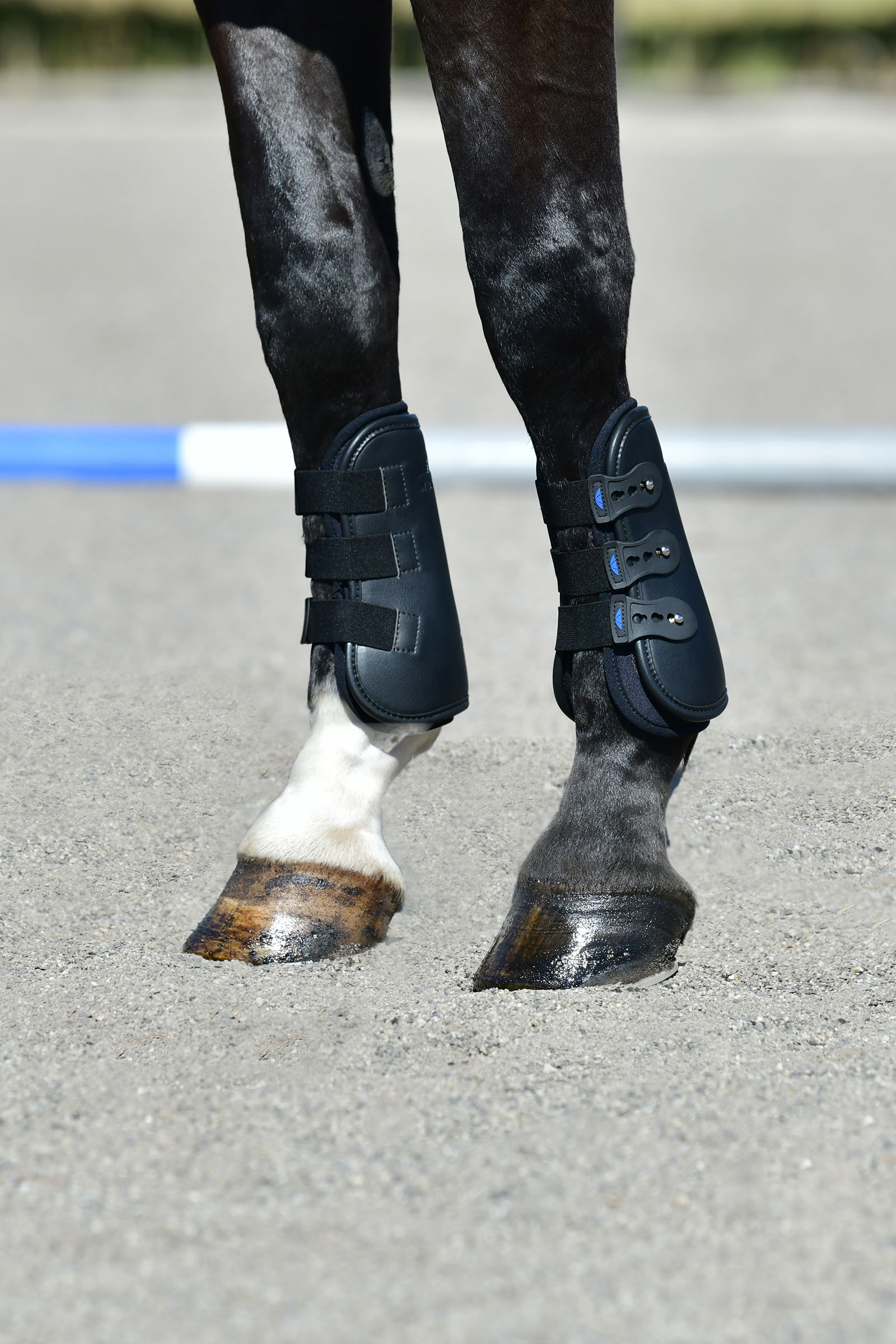 Weatherbeeta Tough-Tec Pro Prot&egrave;ge-boulets avant ouverts