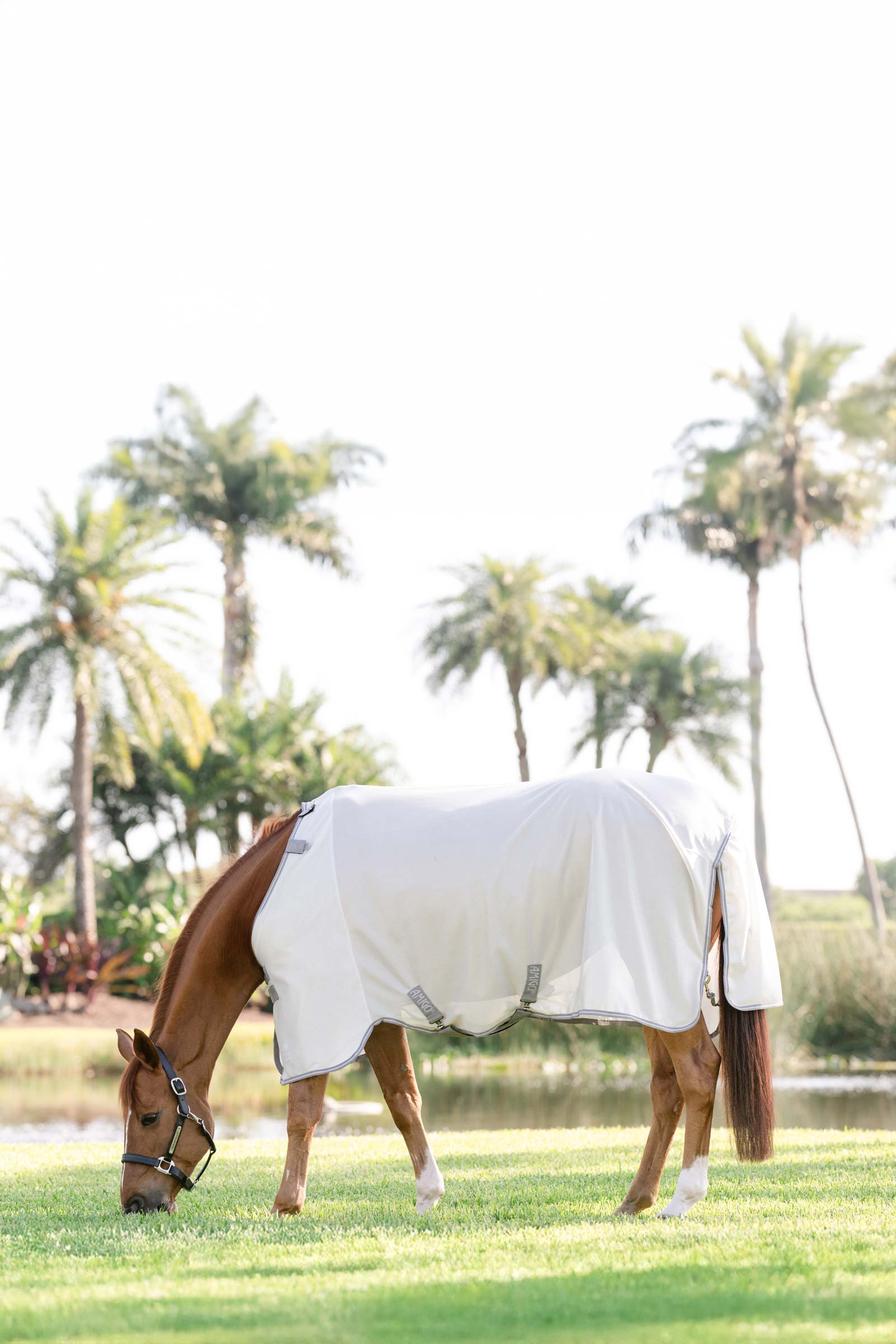 Horseware Amigo couverture anti-mouches avec protection UV