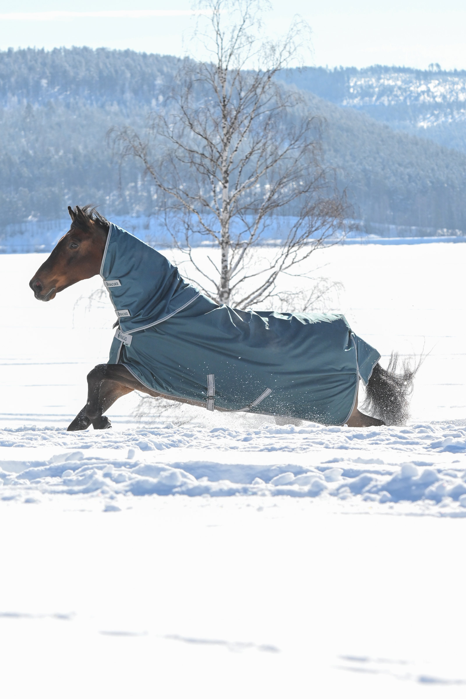 Bucas Atlantic couvre-cou pour couverture d'ext&eacute;rieur, 300 g