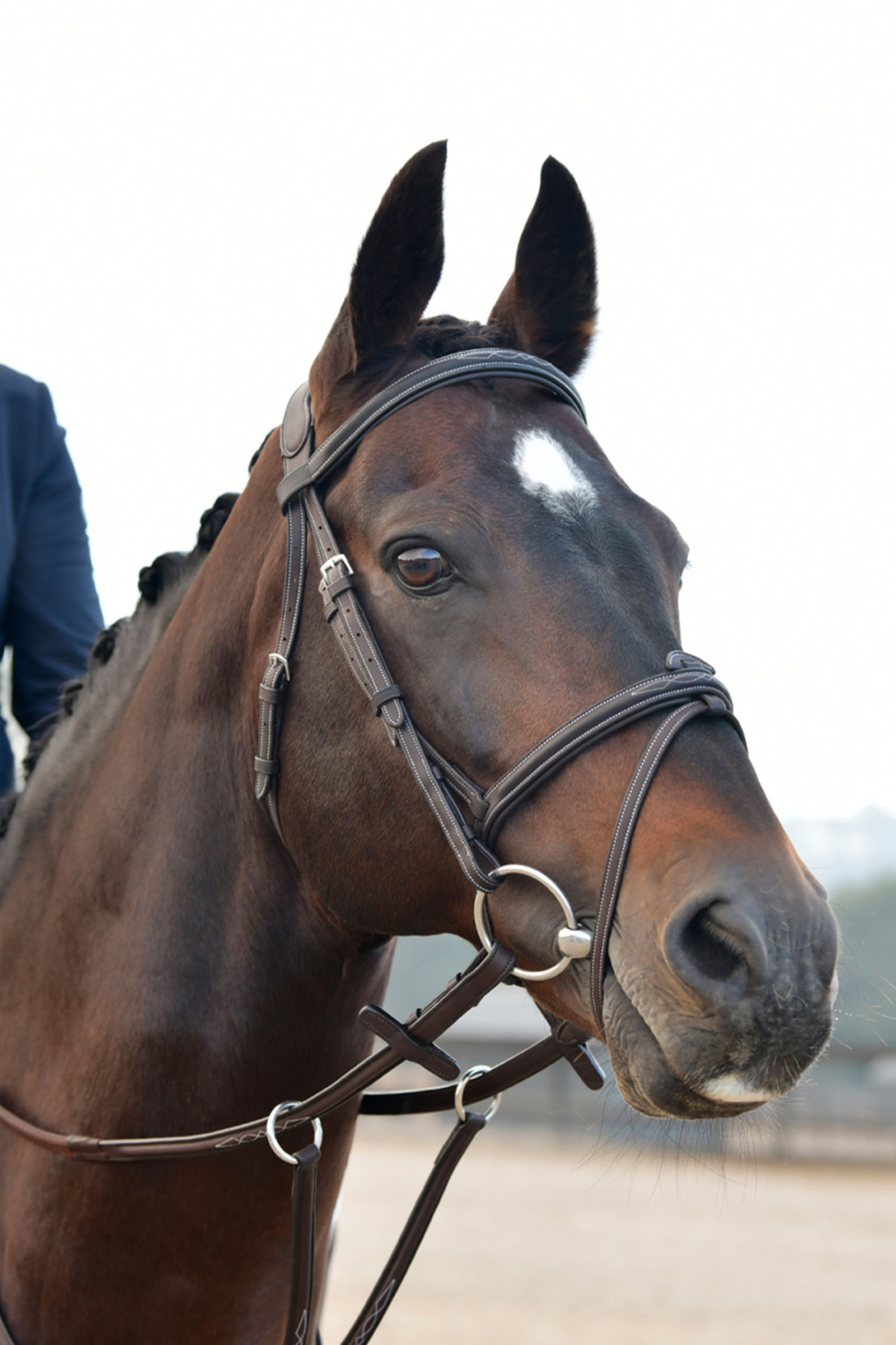 Collegiate Comfitec Opulux Fancy Stitch bride hanovrienne matelassée