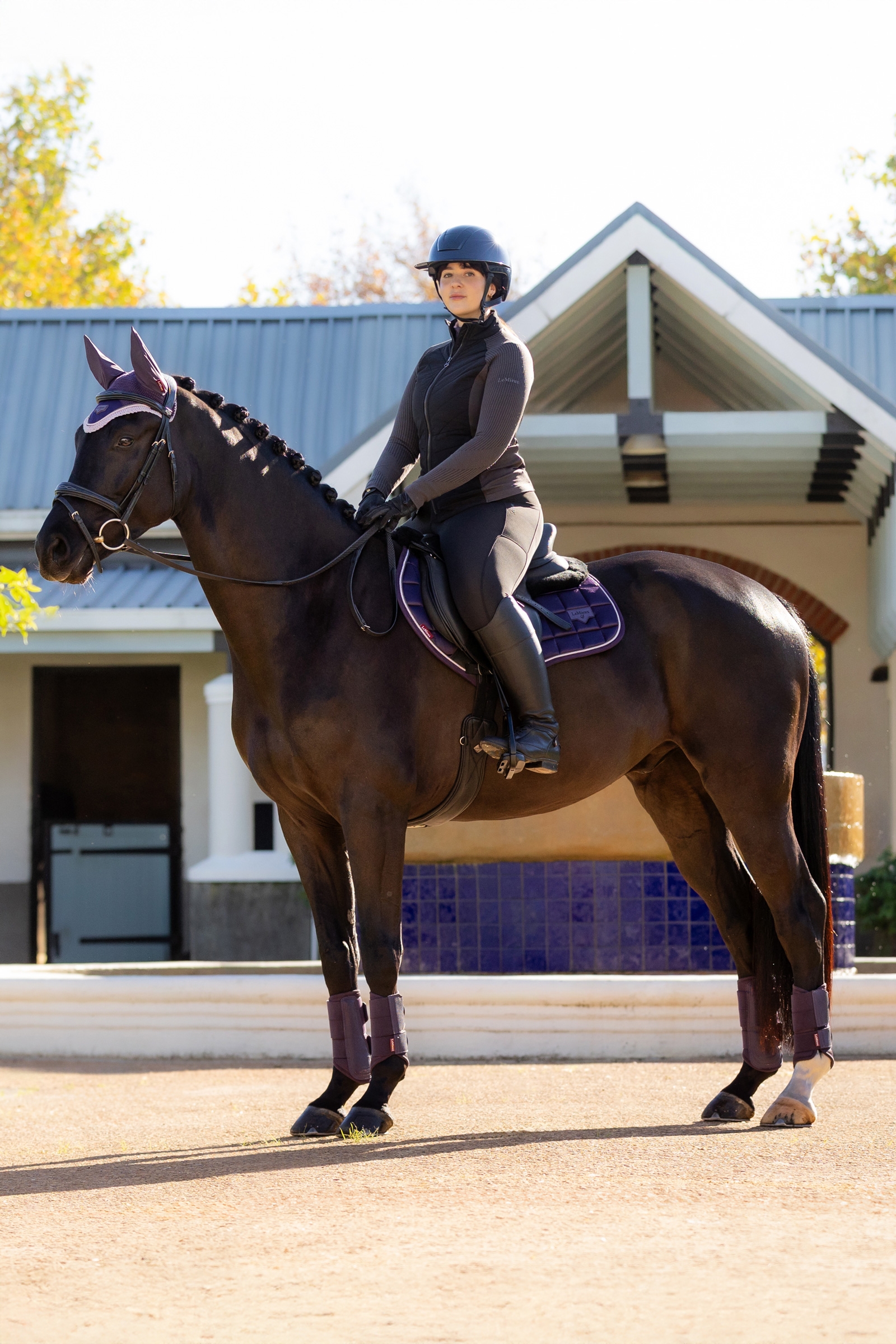 LeMieux Merino+ Loire tapis de selle classique Close Contact
