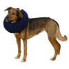 Kerbl Collerette pour chien, 25-35cm