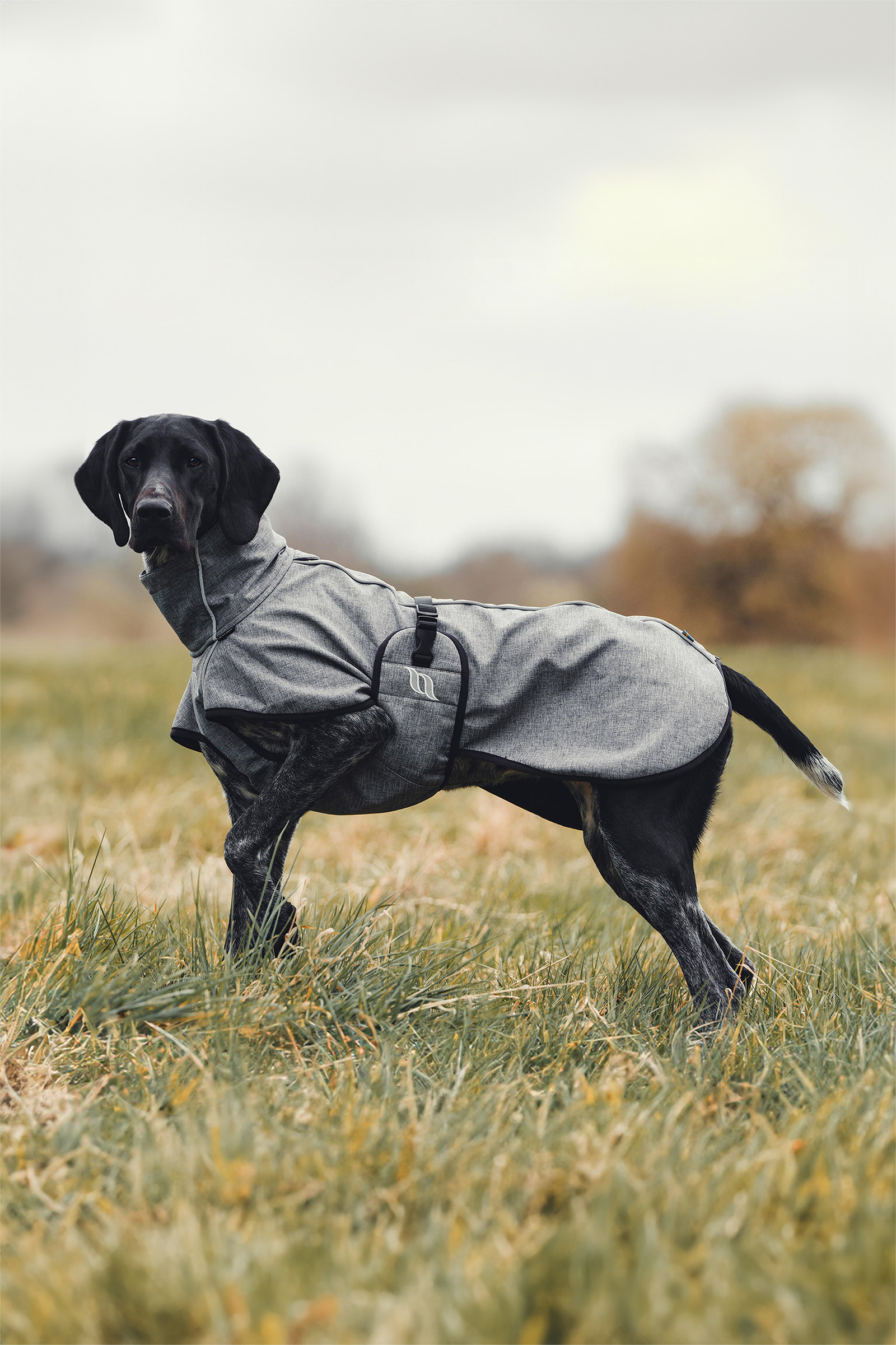 Manteau pour chien Back on Track Bark All-Round, 40-50cm