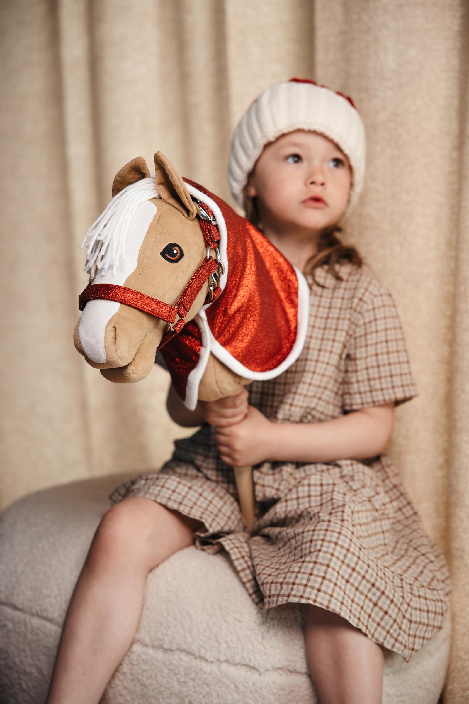 My Hobby Horse couverture de No&euml;l &agrave; paillettes