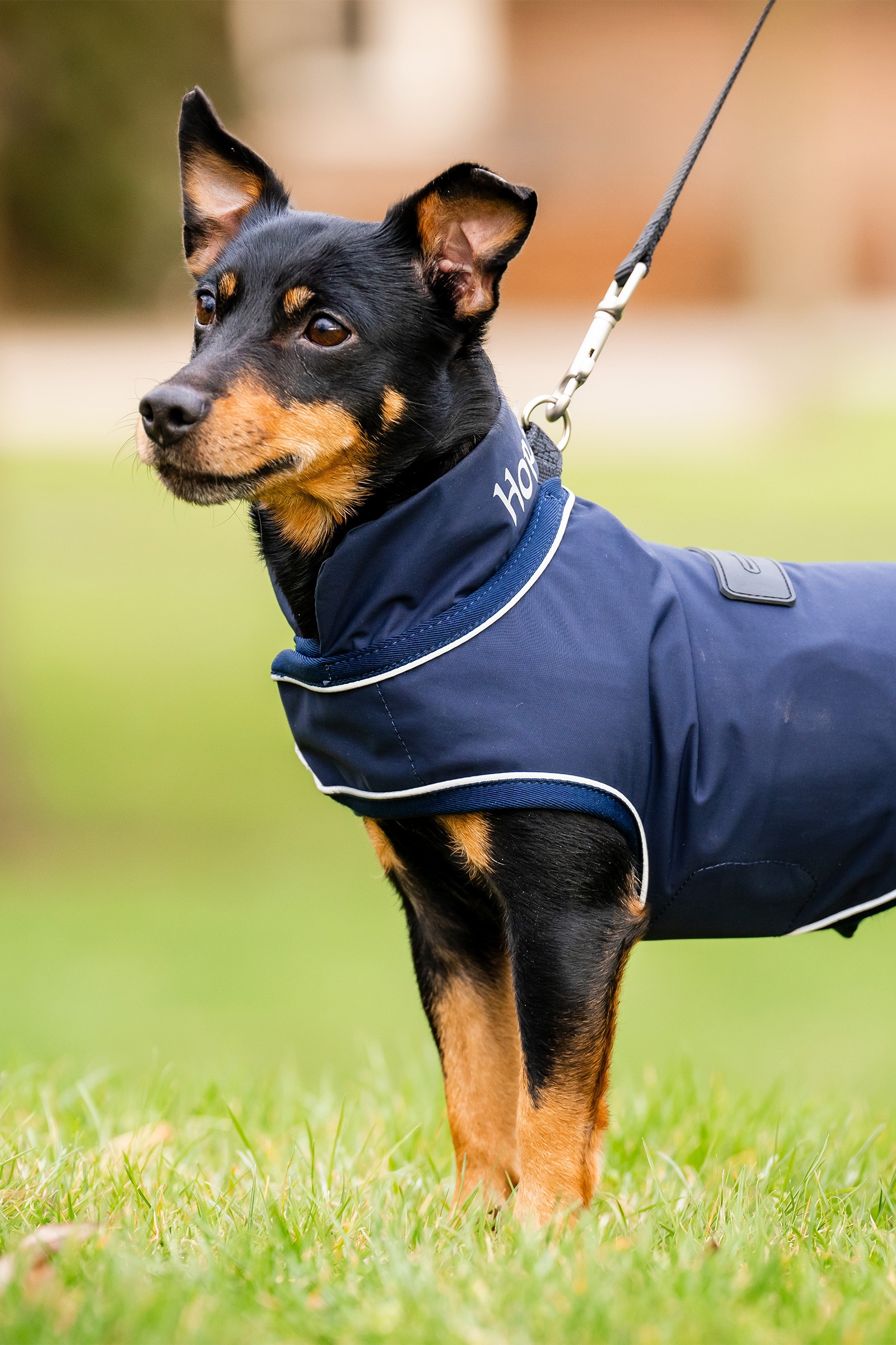Manteau de pluie pour chien Horseware Signature