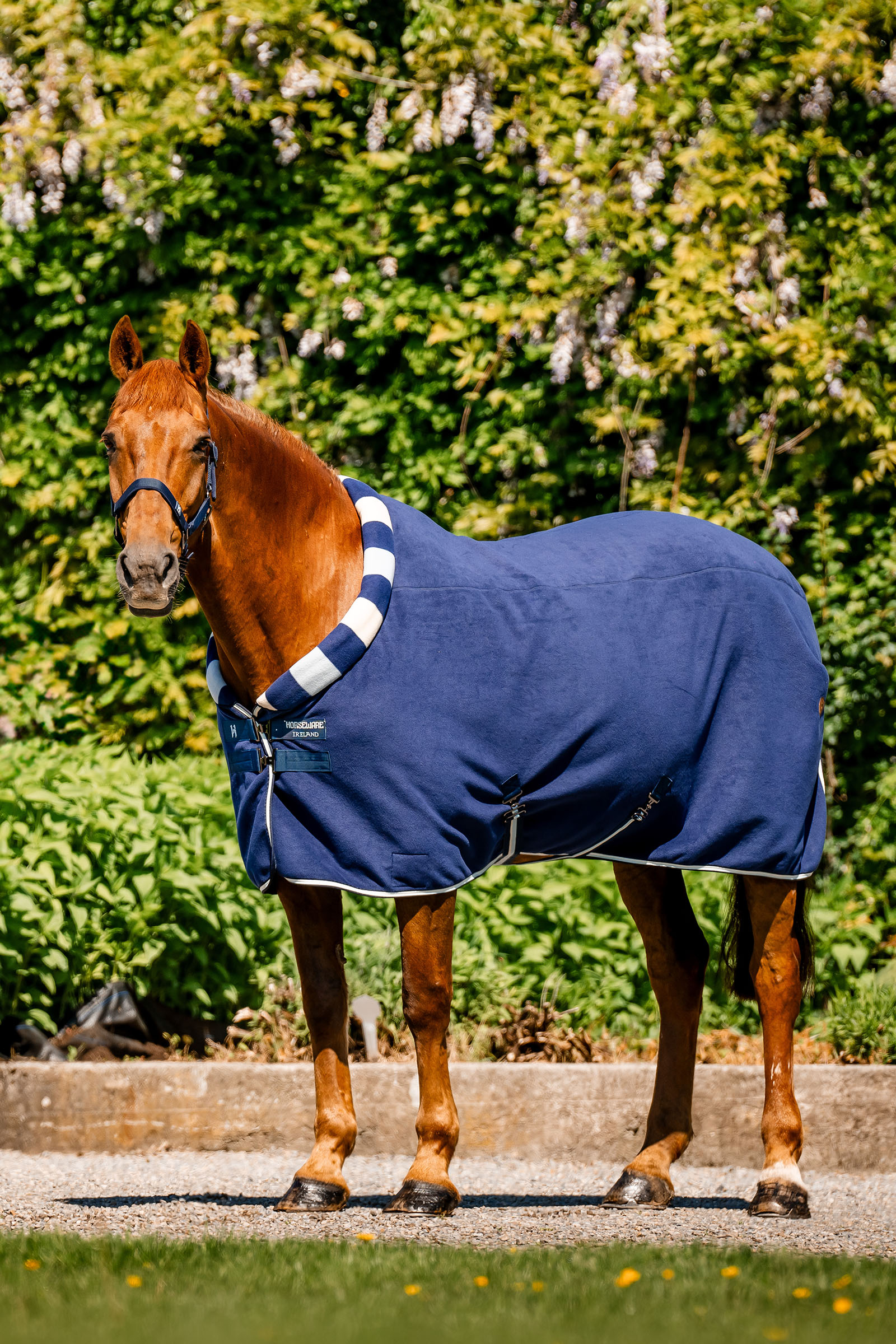 Horseware Newmarket Cosy Fleece Couverture séchante