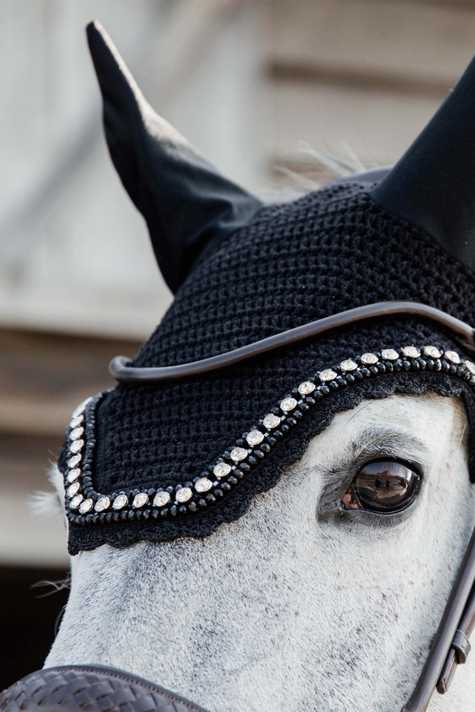 Kentucky Horsewear Bonnet Wellington Big Stone et Pearl