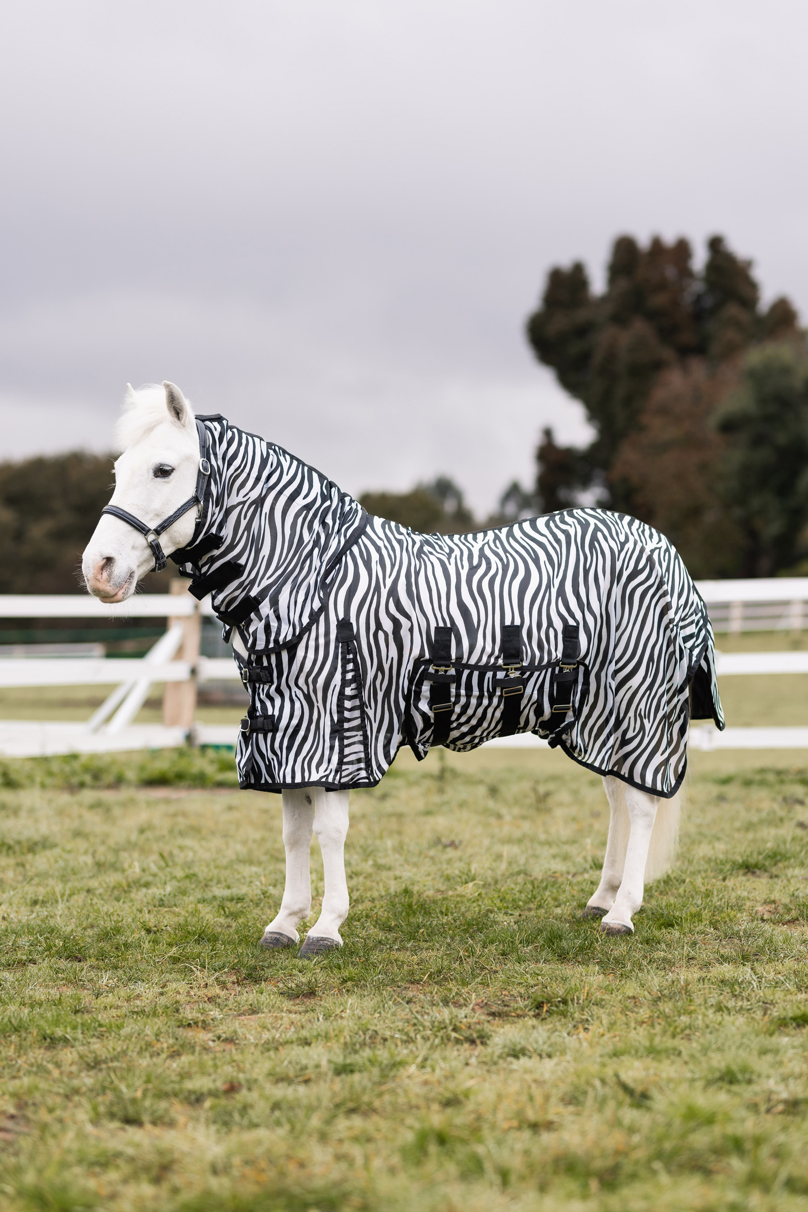 Horze Defender Couverture Pony anti-mouches avec couvre-encolure
