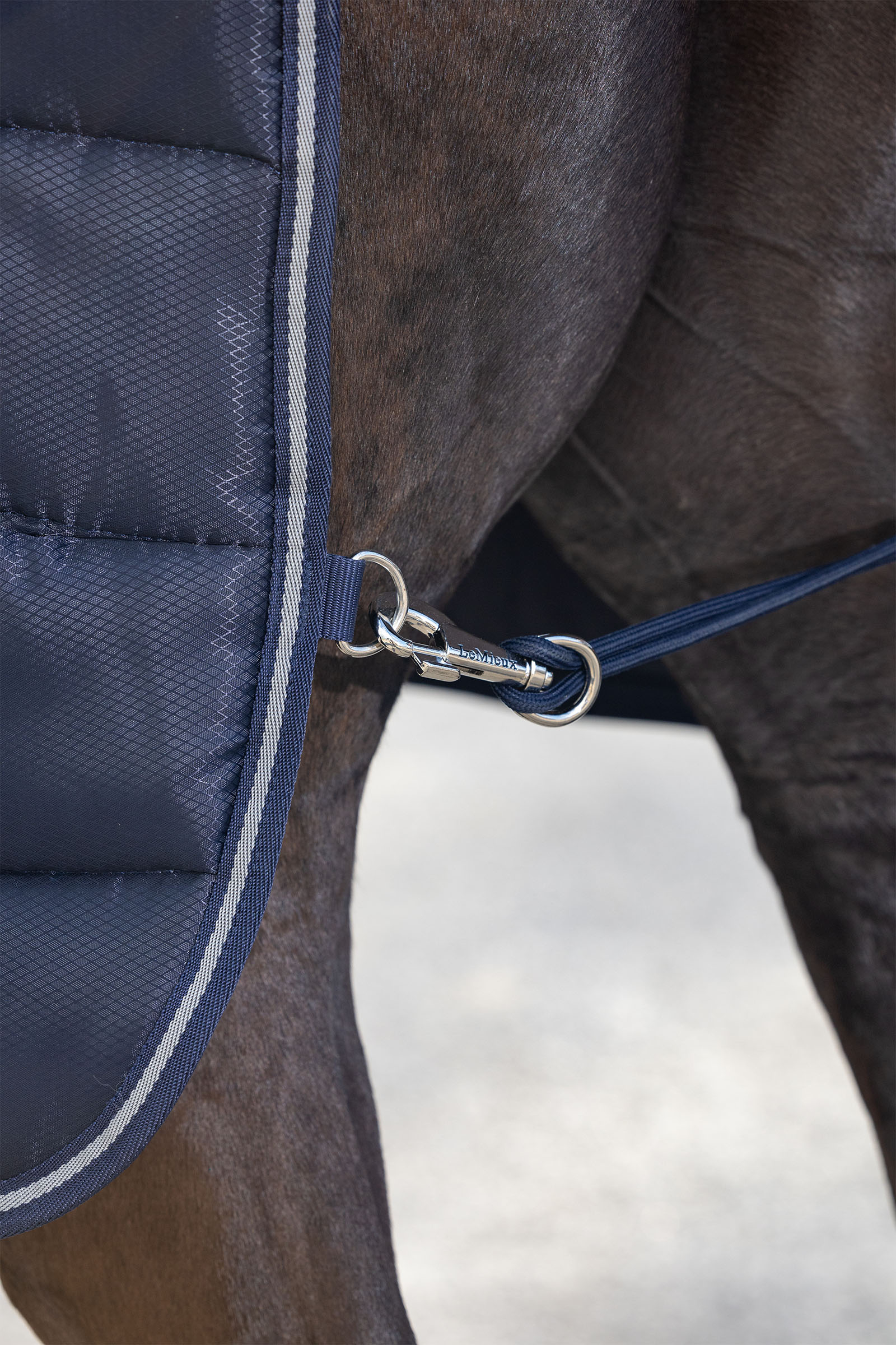 LeMieux Arika Stable-Tek couverture d&rsquo;&eacute;curie, 100 g