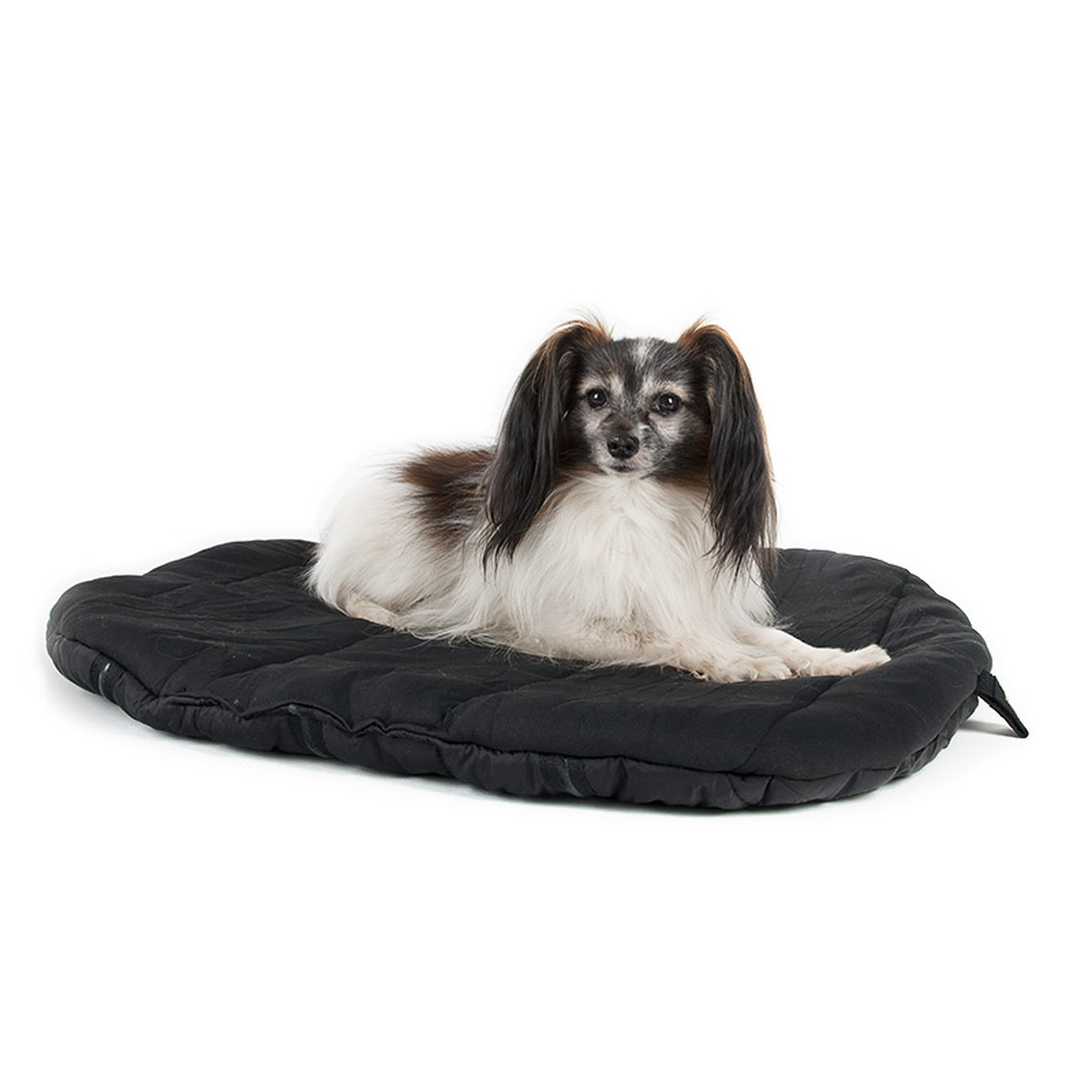 Back on Track matelas pour chien