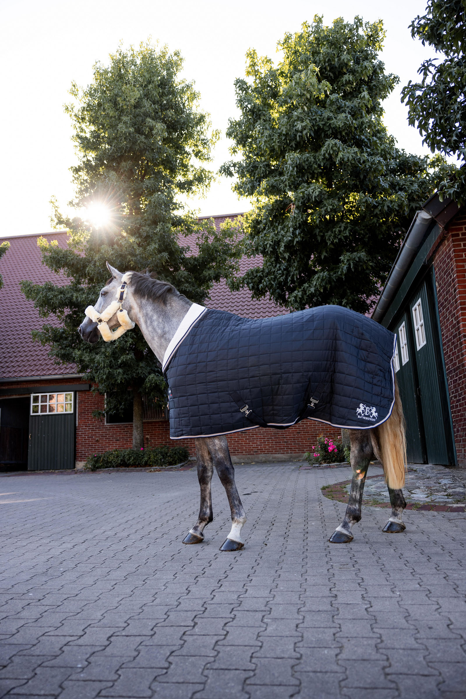 Couverture d'écurie B Vertigo Theo, 150 g