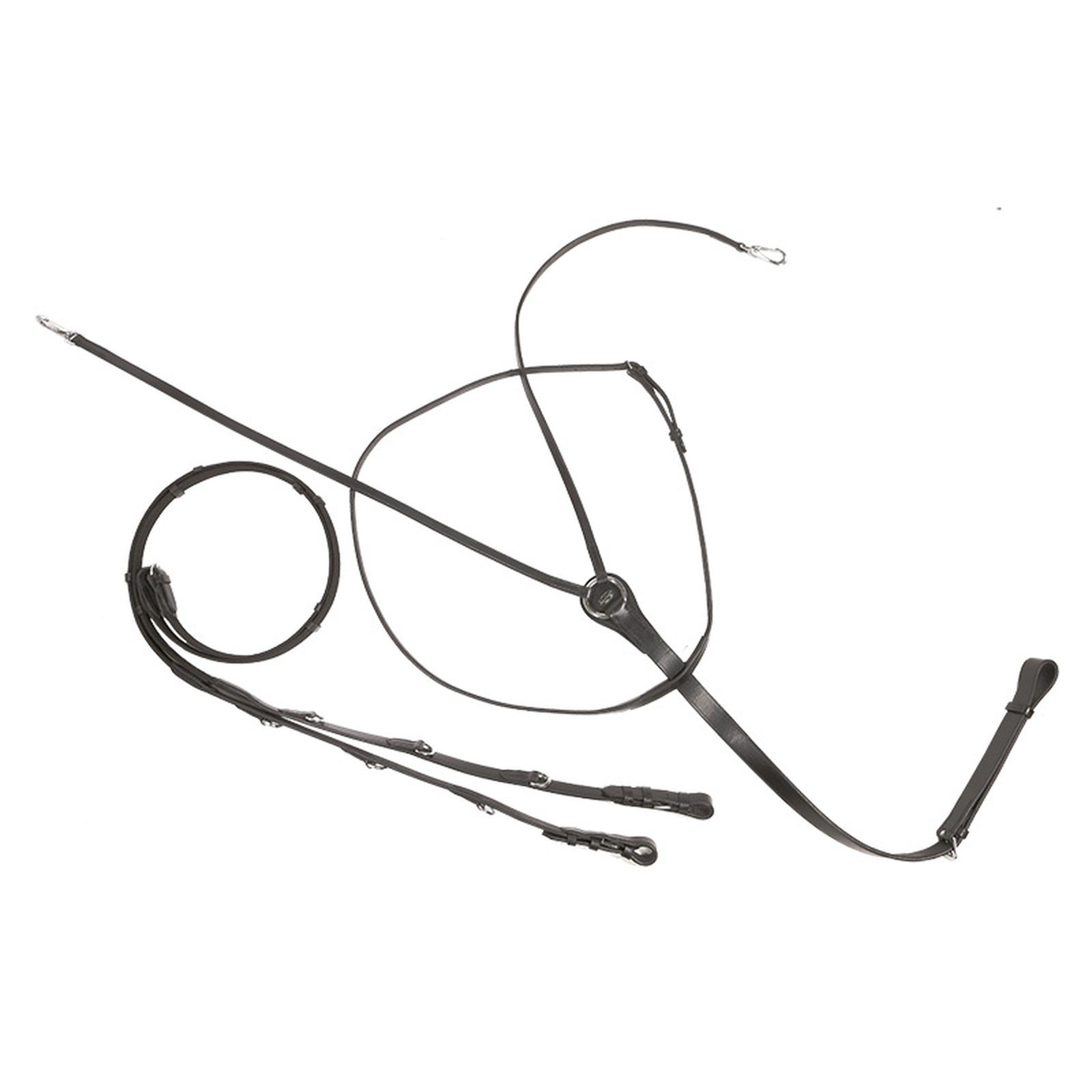 Enr&ecirc;nement Thiedeman Kavalkade