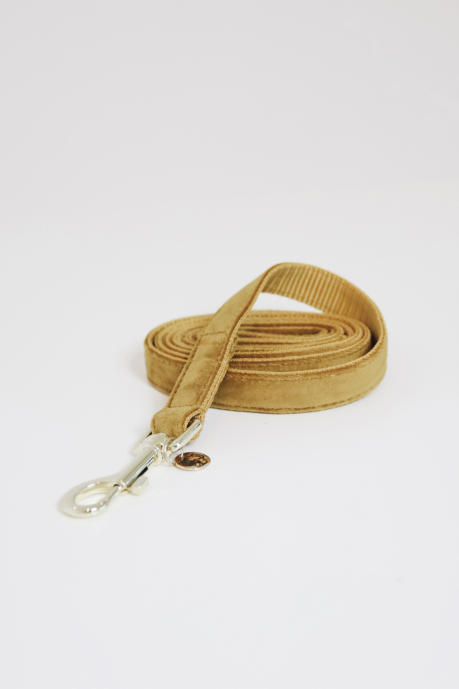 Maize Yellow Kentucky Dogwear Dog Lead Velvet