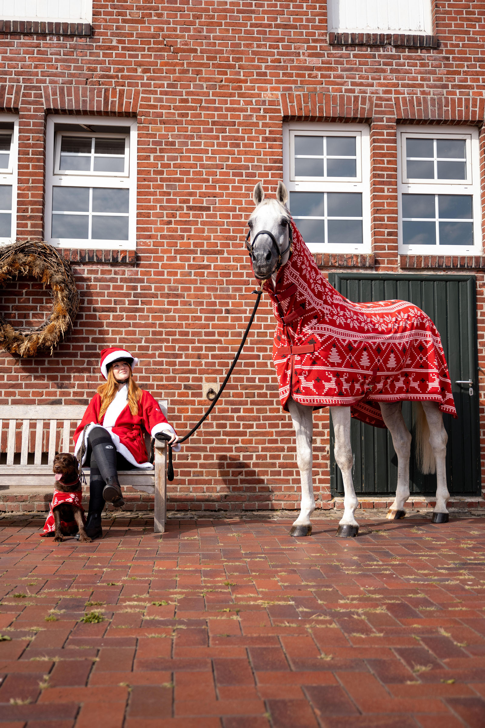 Horze pull de Noël pour chevaux