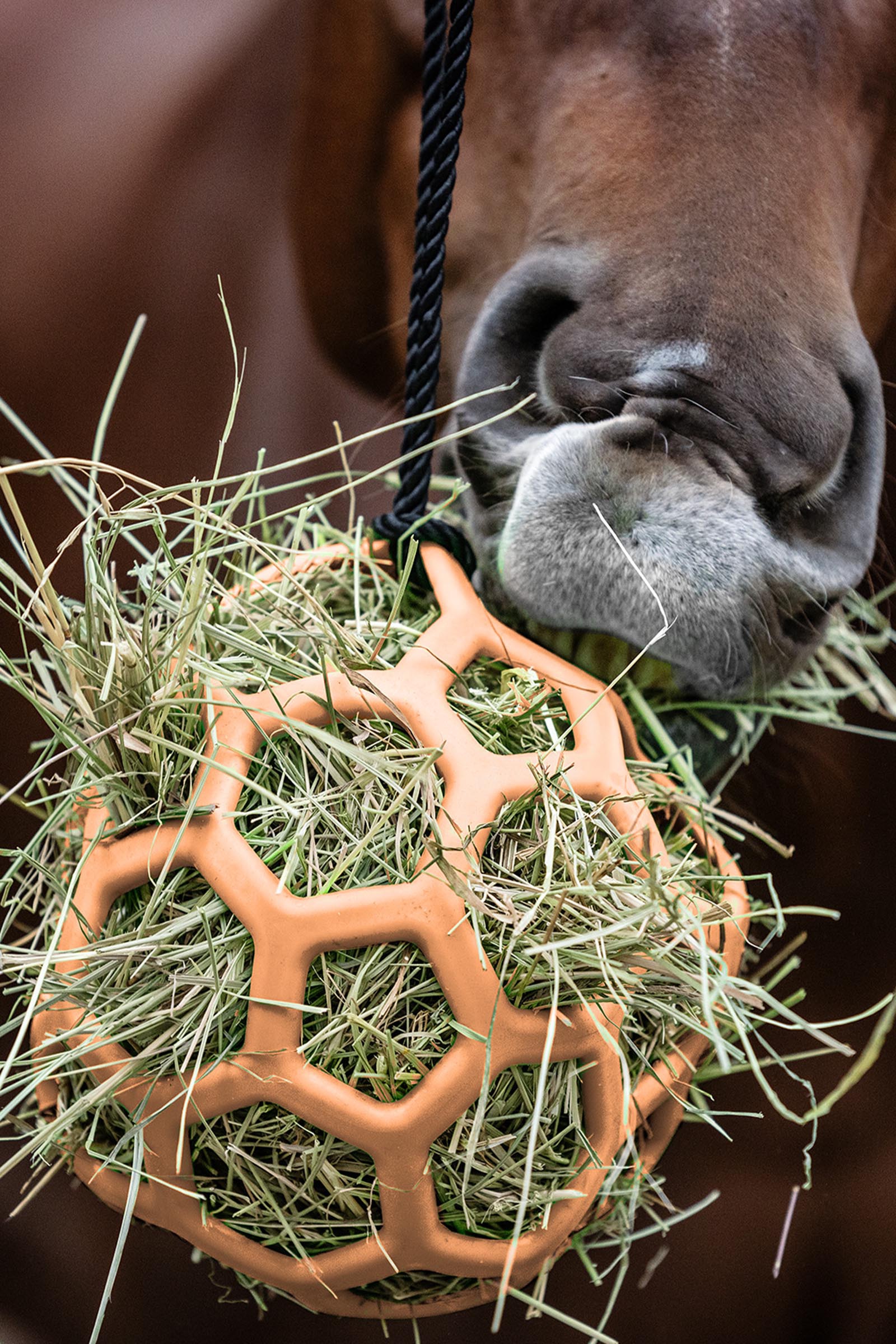 Peach Waldhausen balle &agrave; foin