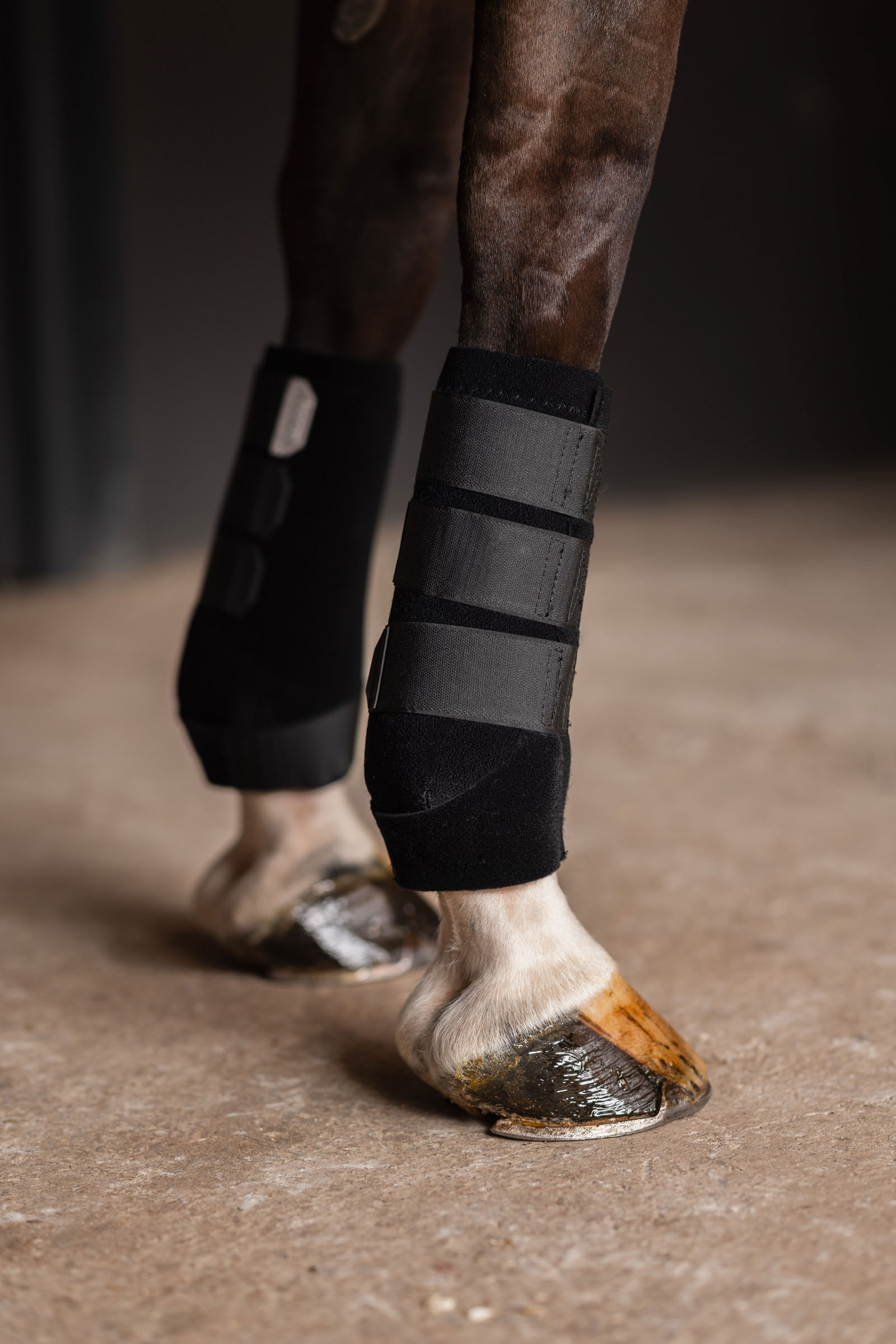 Guêtres de protection Horze ProSoft, Antérieurs