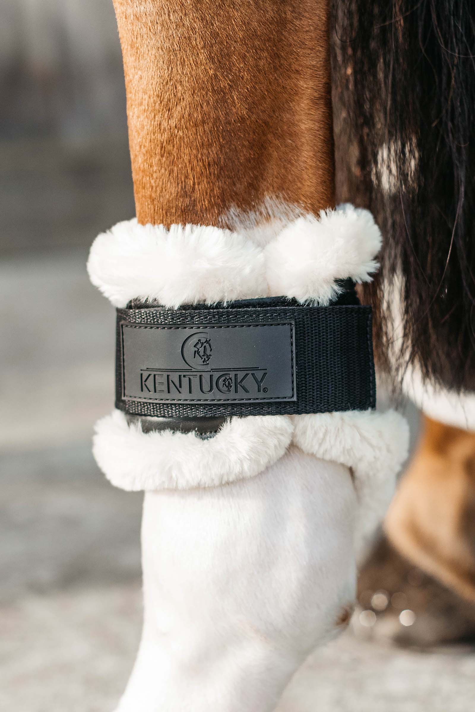 Kentucky Horsewear Protège-boulet jeunes chevaux mouton vegan