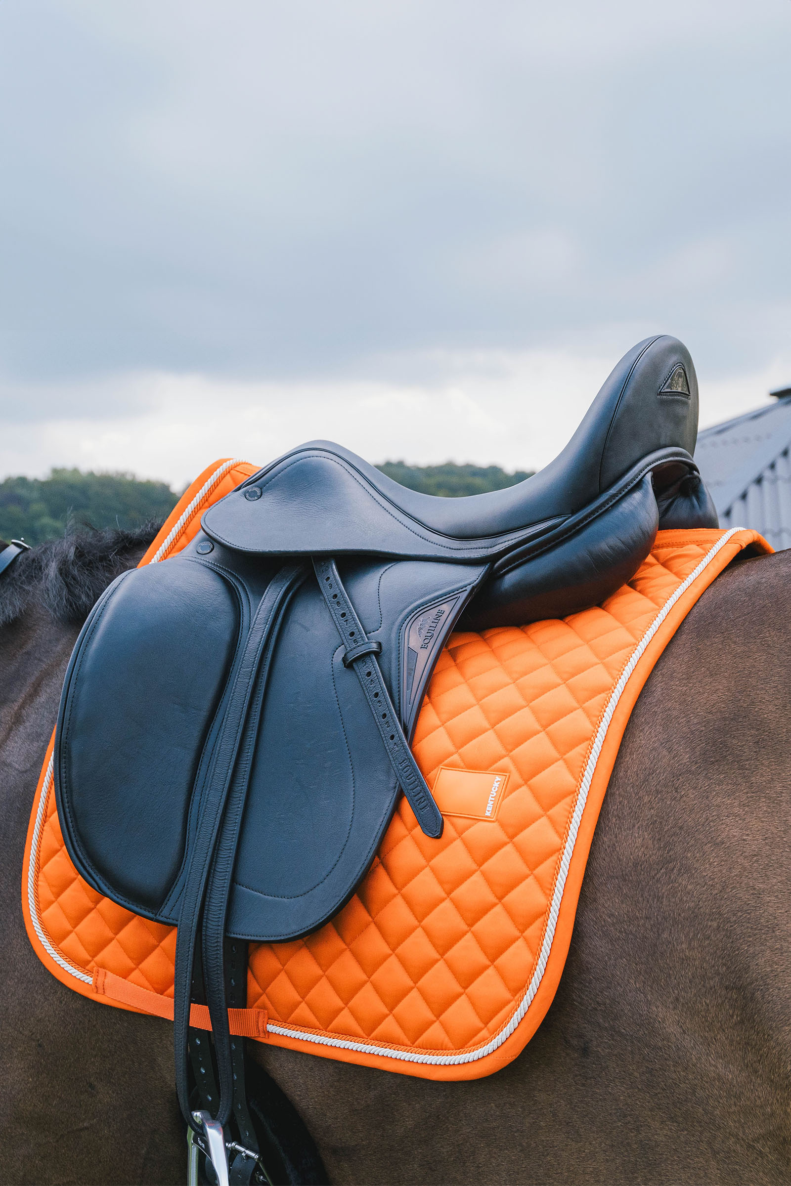 Kentucky Horsewear tapis de selle de dressage Diamond Rope