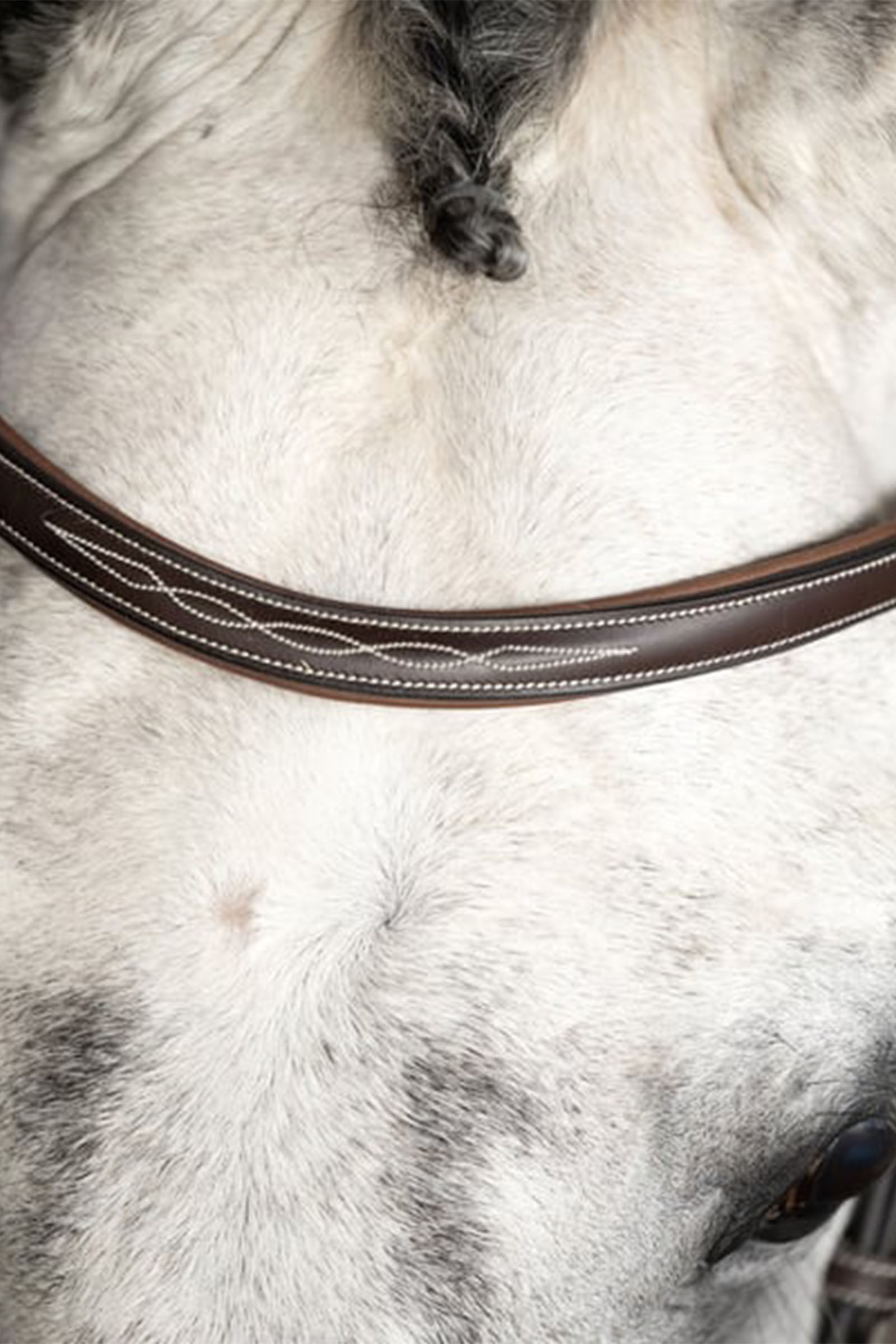 PS of Sweden Ocala bride