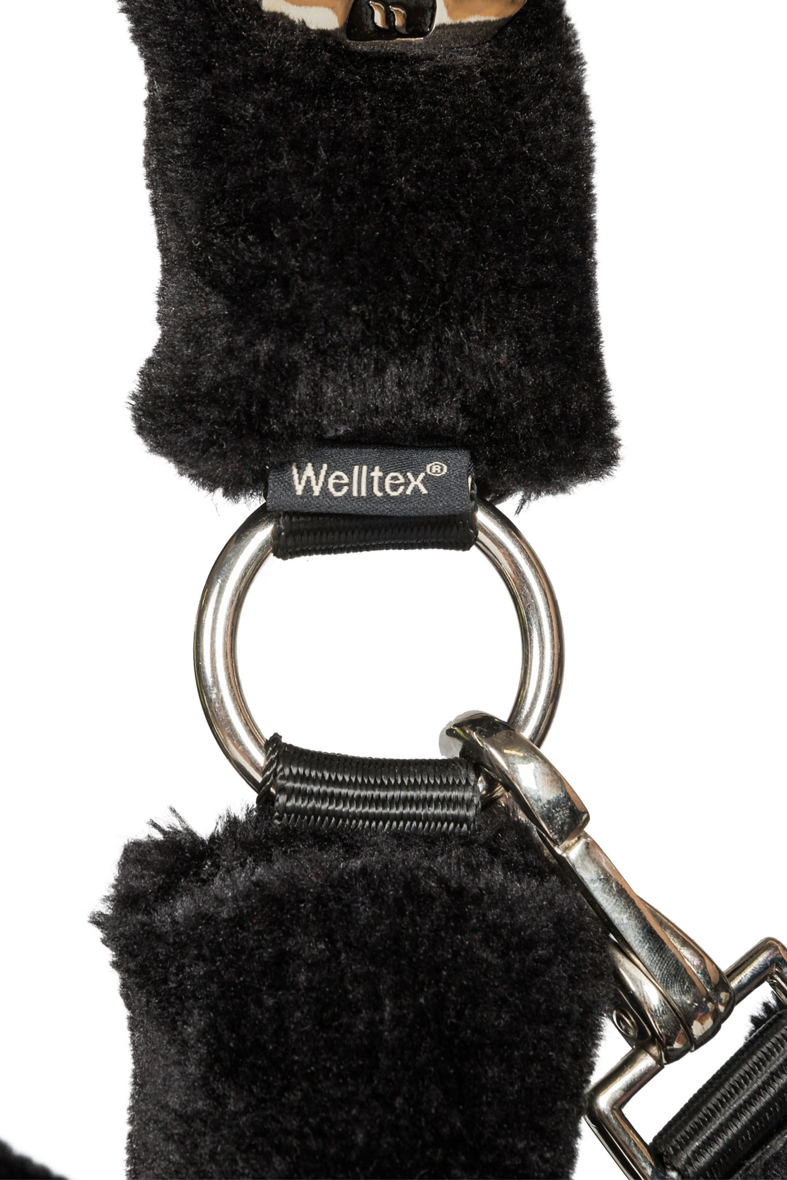 Back on Track Audrey licol