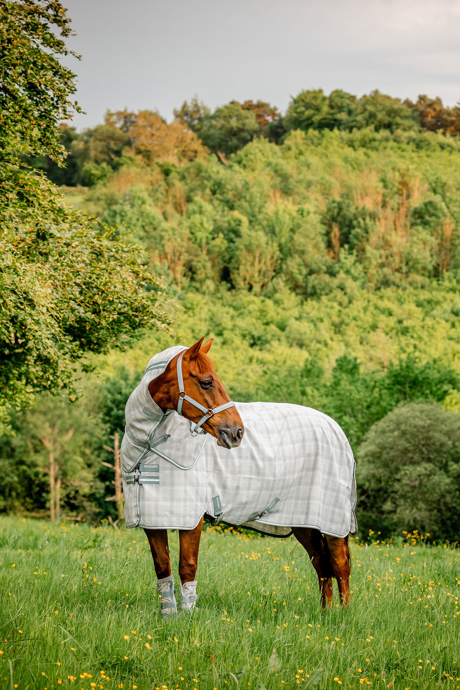 Horseware Newmarket Plus Couverture anti-mouches