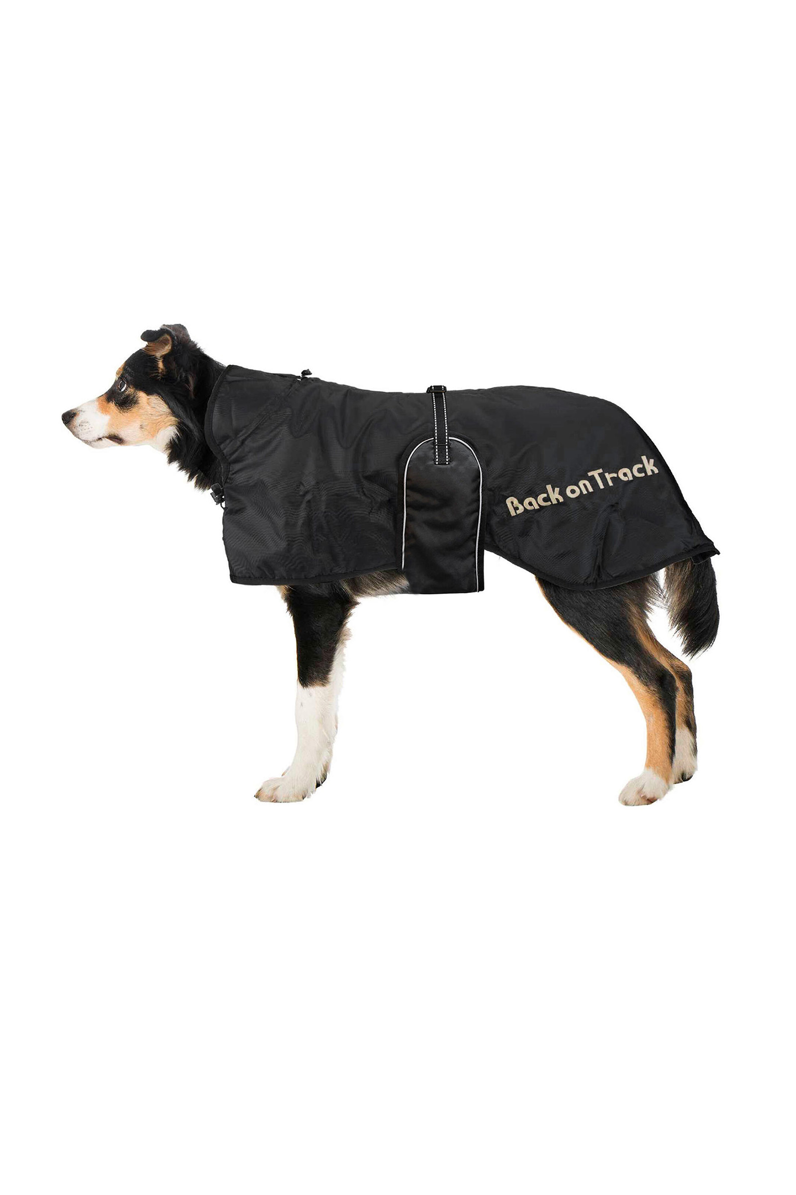 Back on Track, couverture pour chien (43-59)