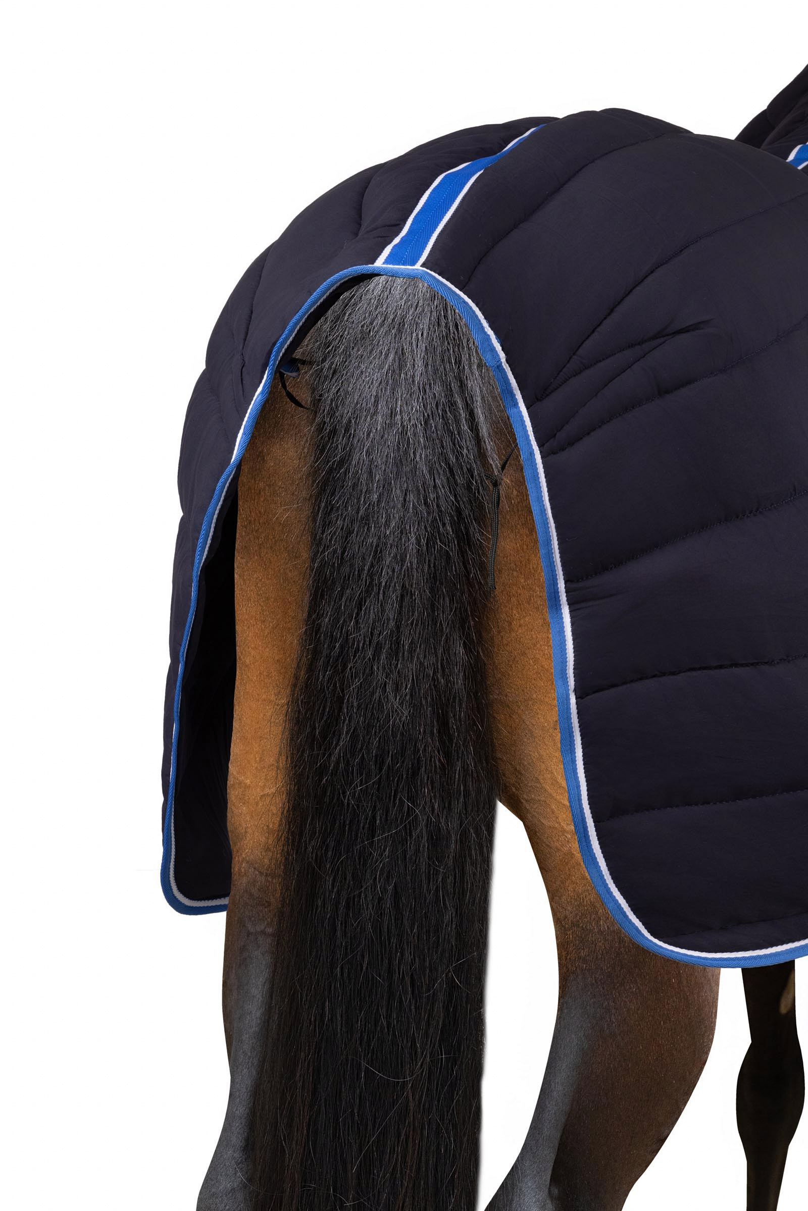 Couverture d'écurie /sous-couche avec couvre-encolure Horze Glasgow, 250 g