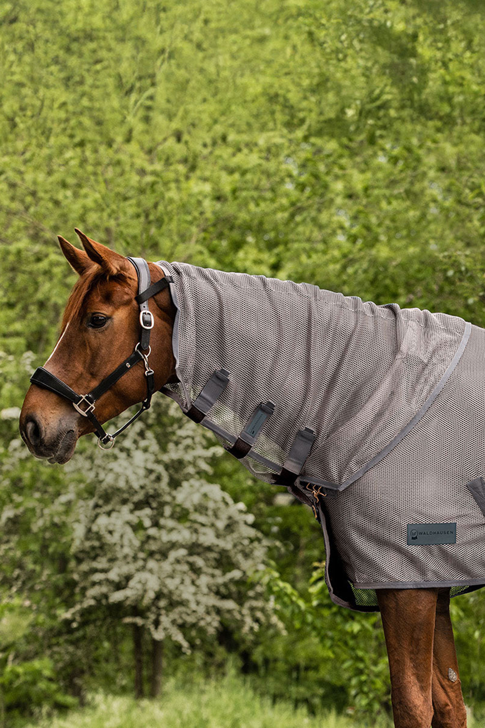 Grey Waldhausen Comfort couvre-cou anti-mouches