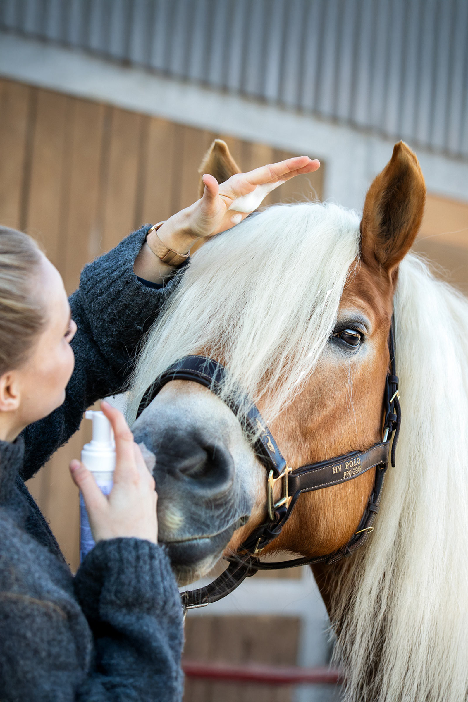 Zedan Mousse naturelle pour la crinière, 200ml
