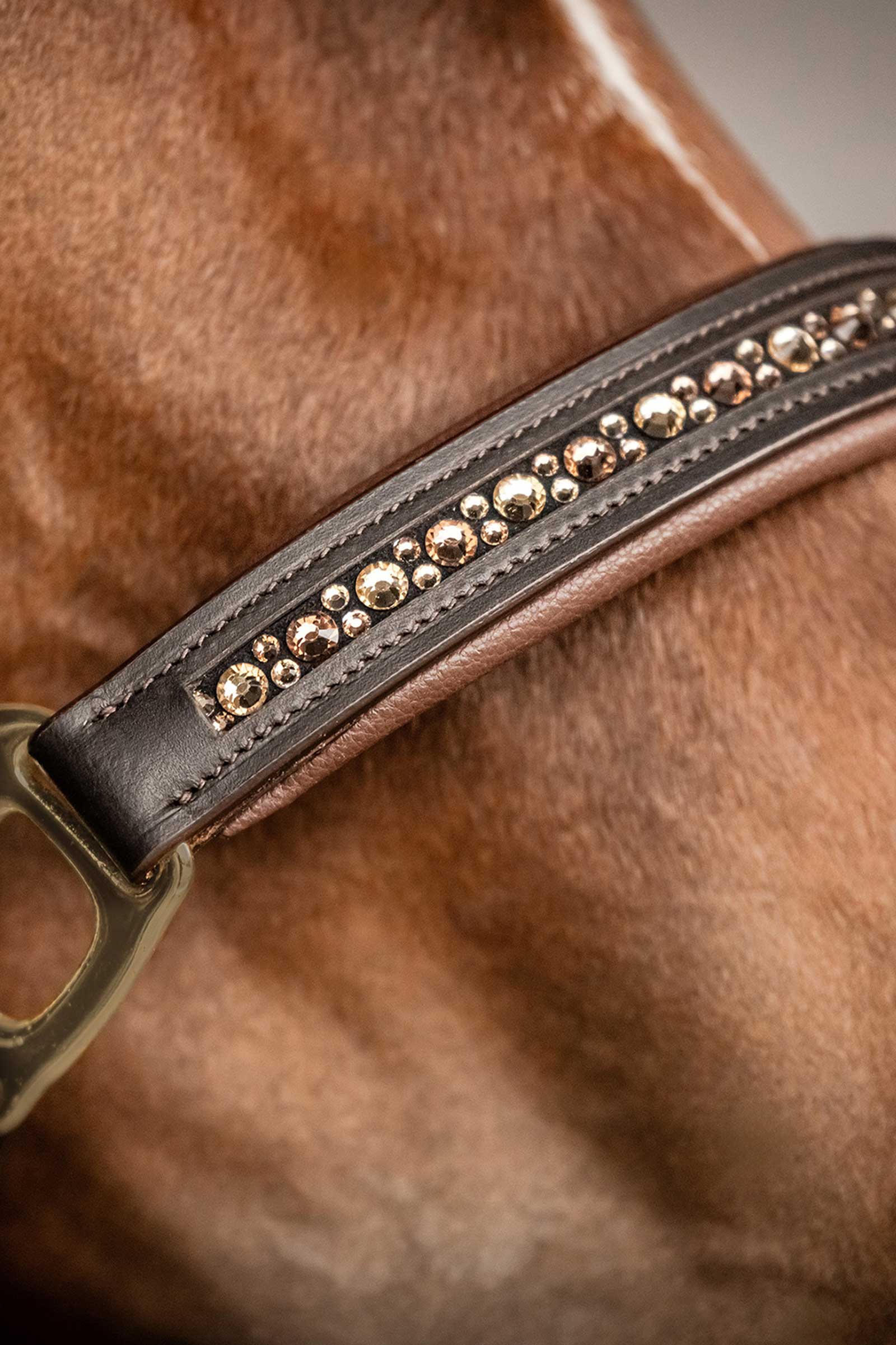 Waldhausen X-Line Crystal Licol en cuir