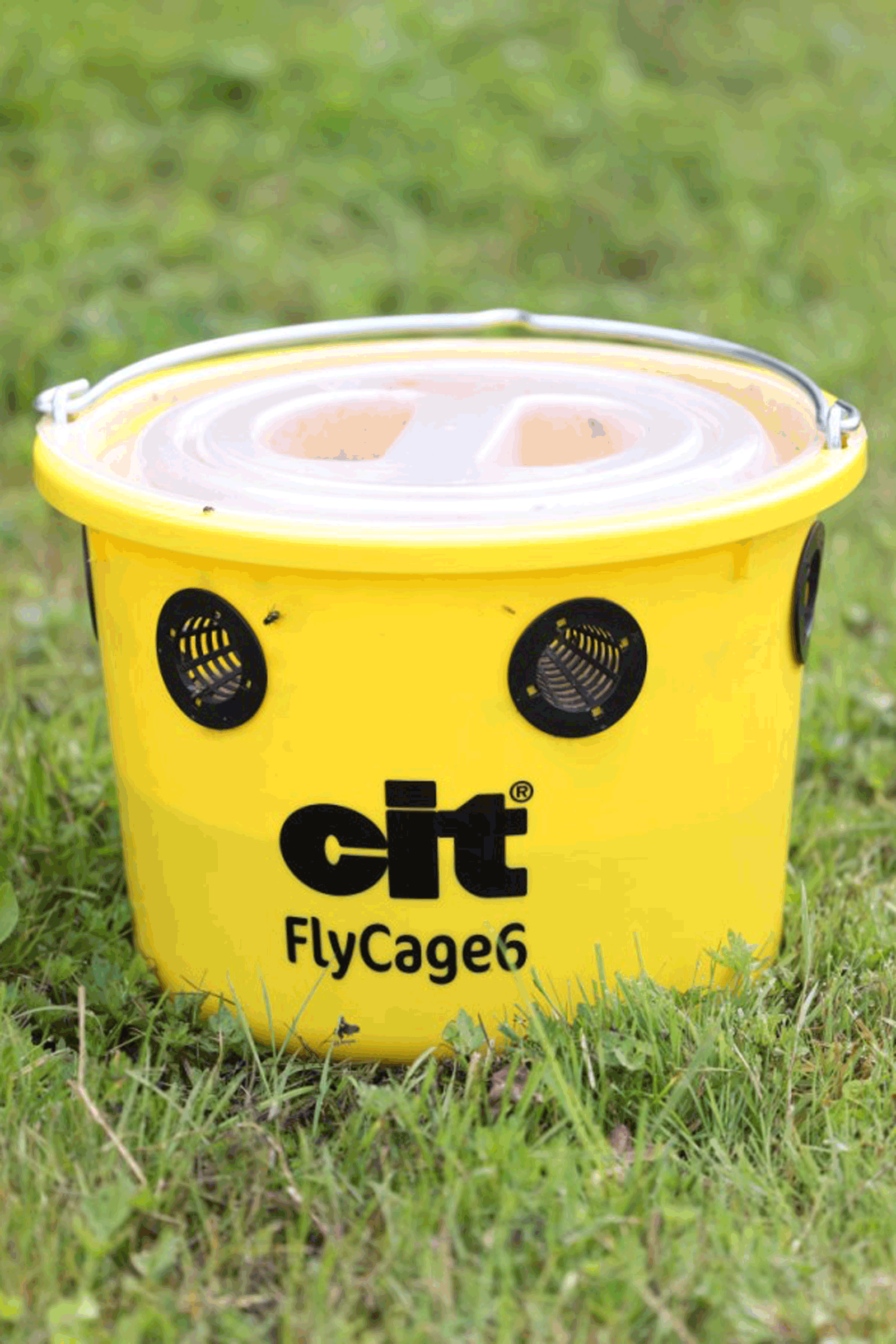 Kerbl Cit FlyCage 6 Fly Trap, Set incl. 750 g Attractant