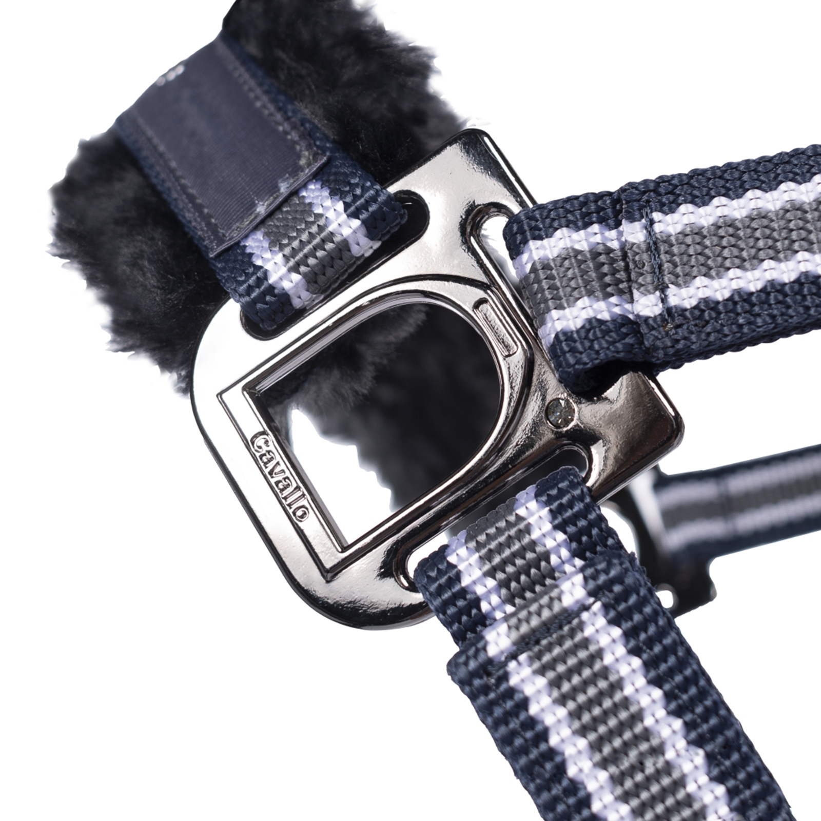 Licol Cavallo CavalHelia