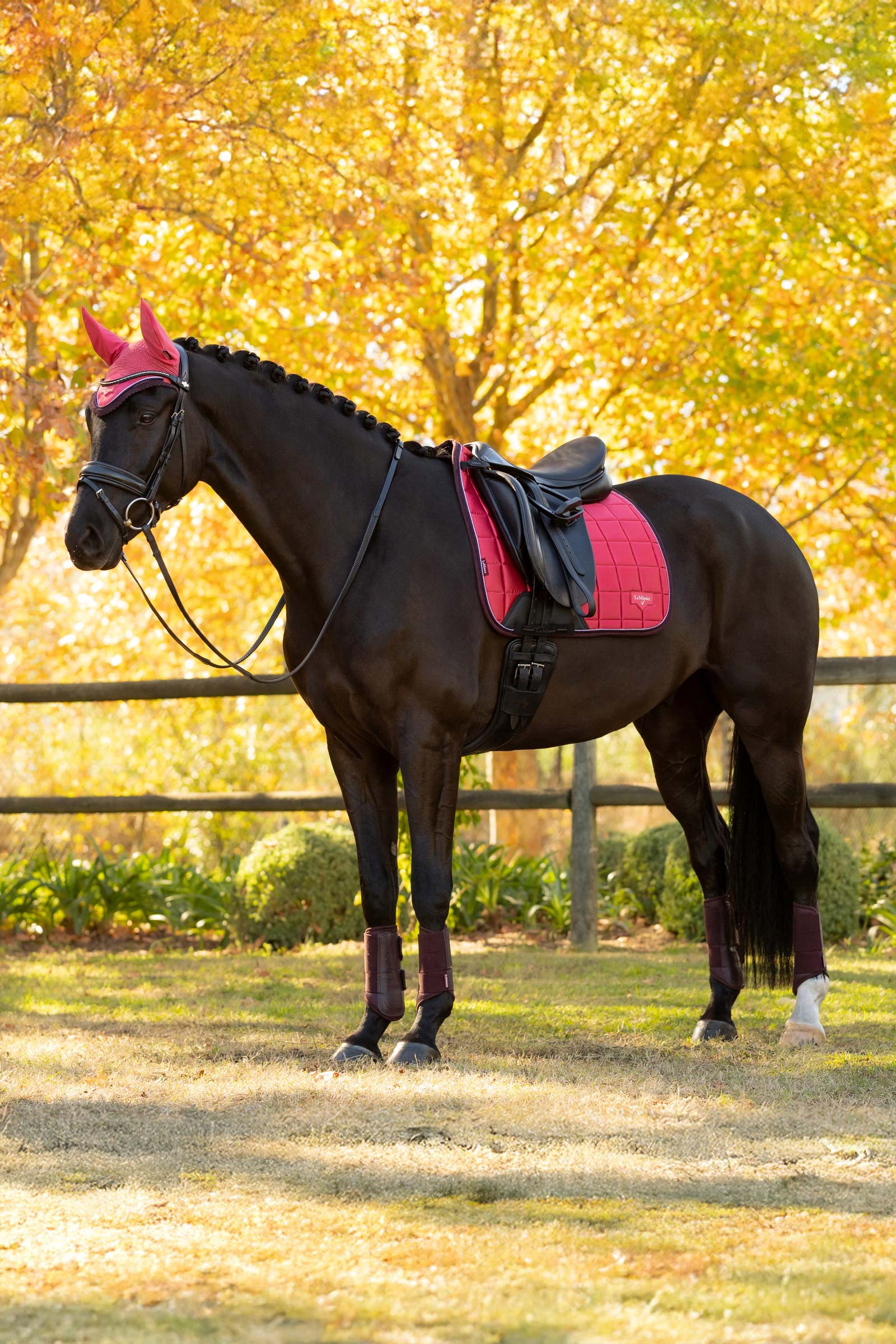 LeMieux Loire Classic Tapis de selle de dressage