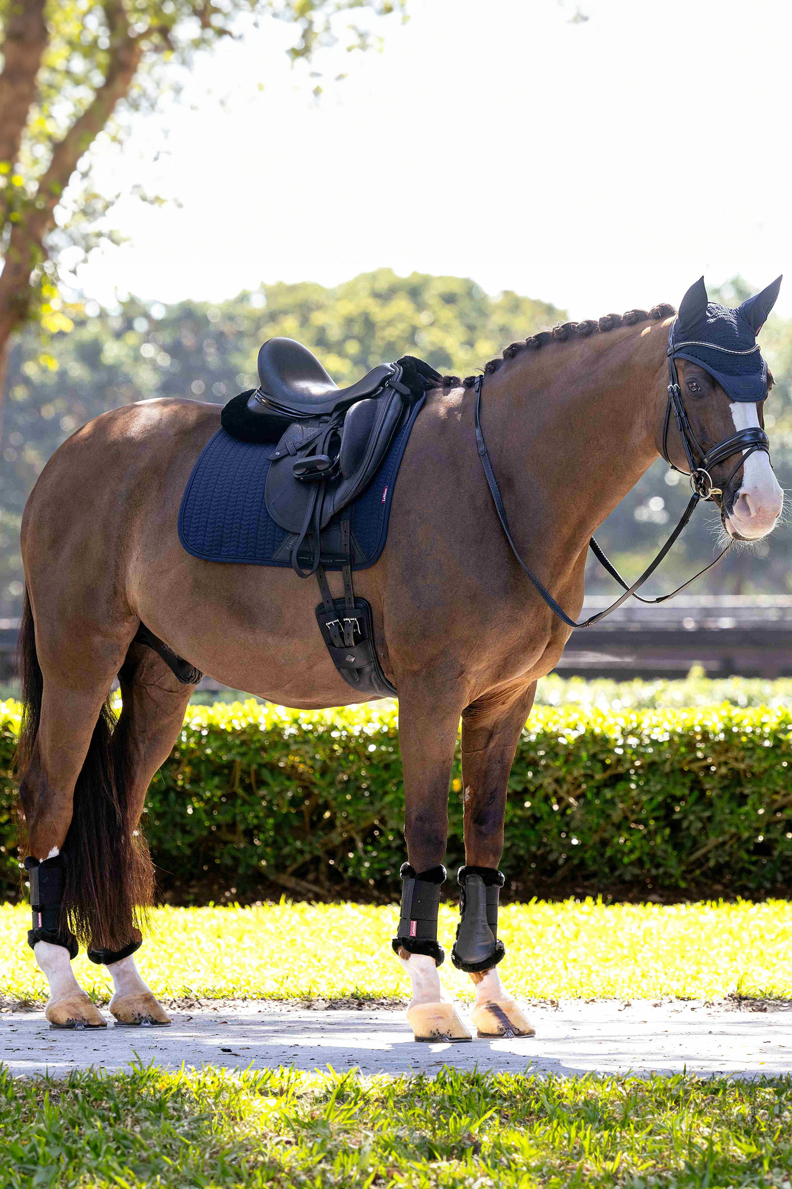 LeMieux Essence tapis de selle de dressage