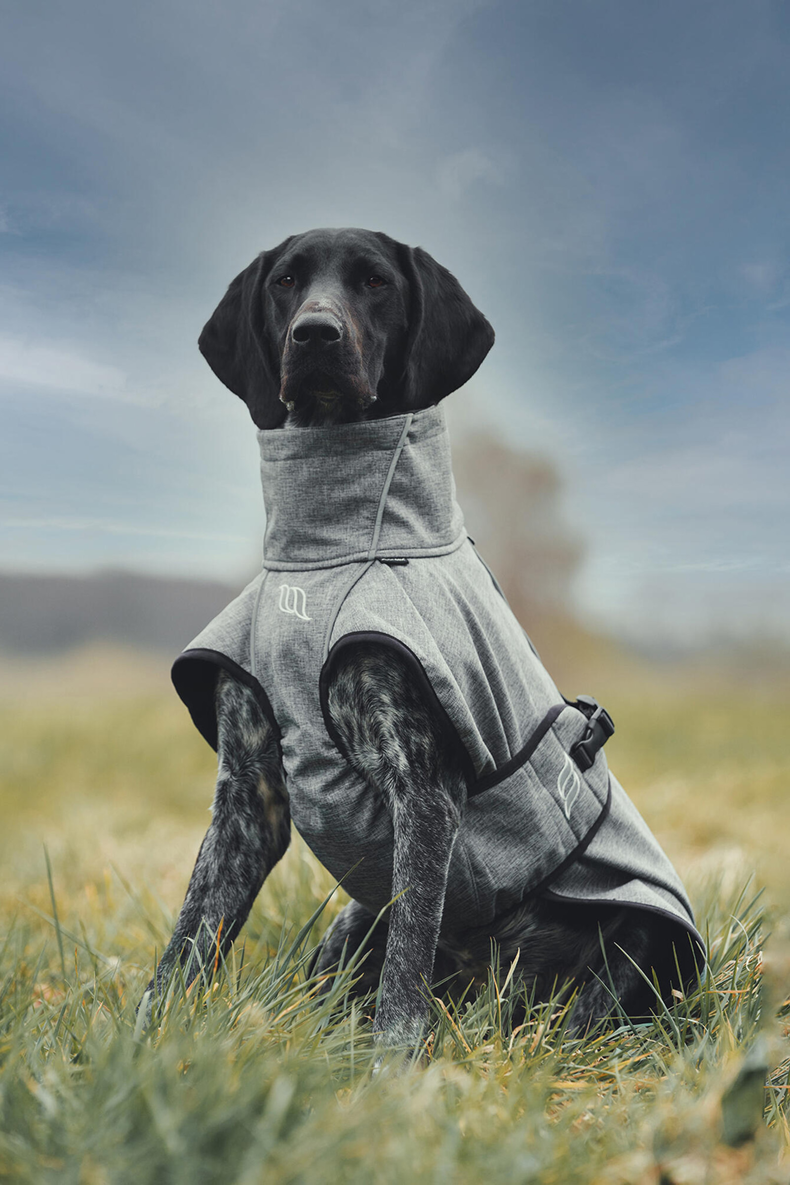 Manteau pour chien Back on Track Bark All-Round, 70-80 cm