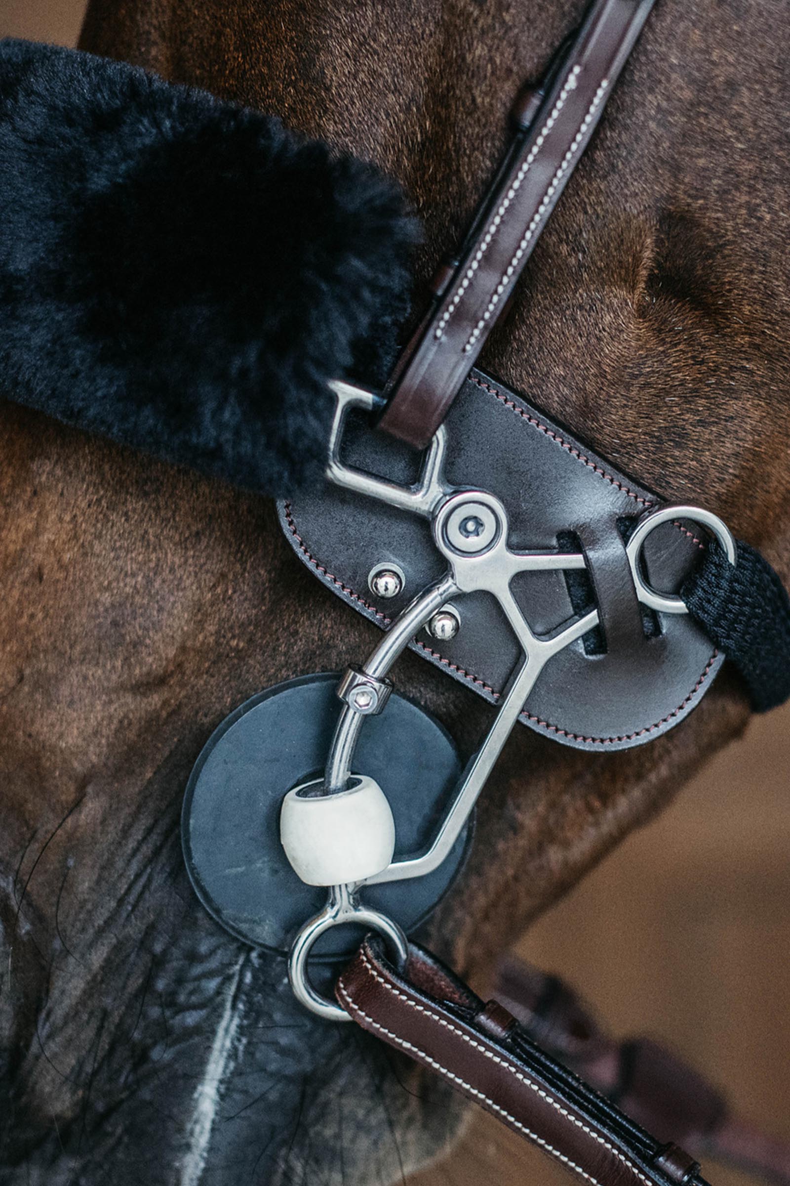Dy'on protection hackamore  