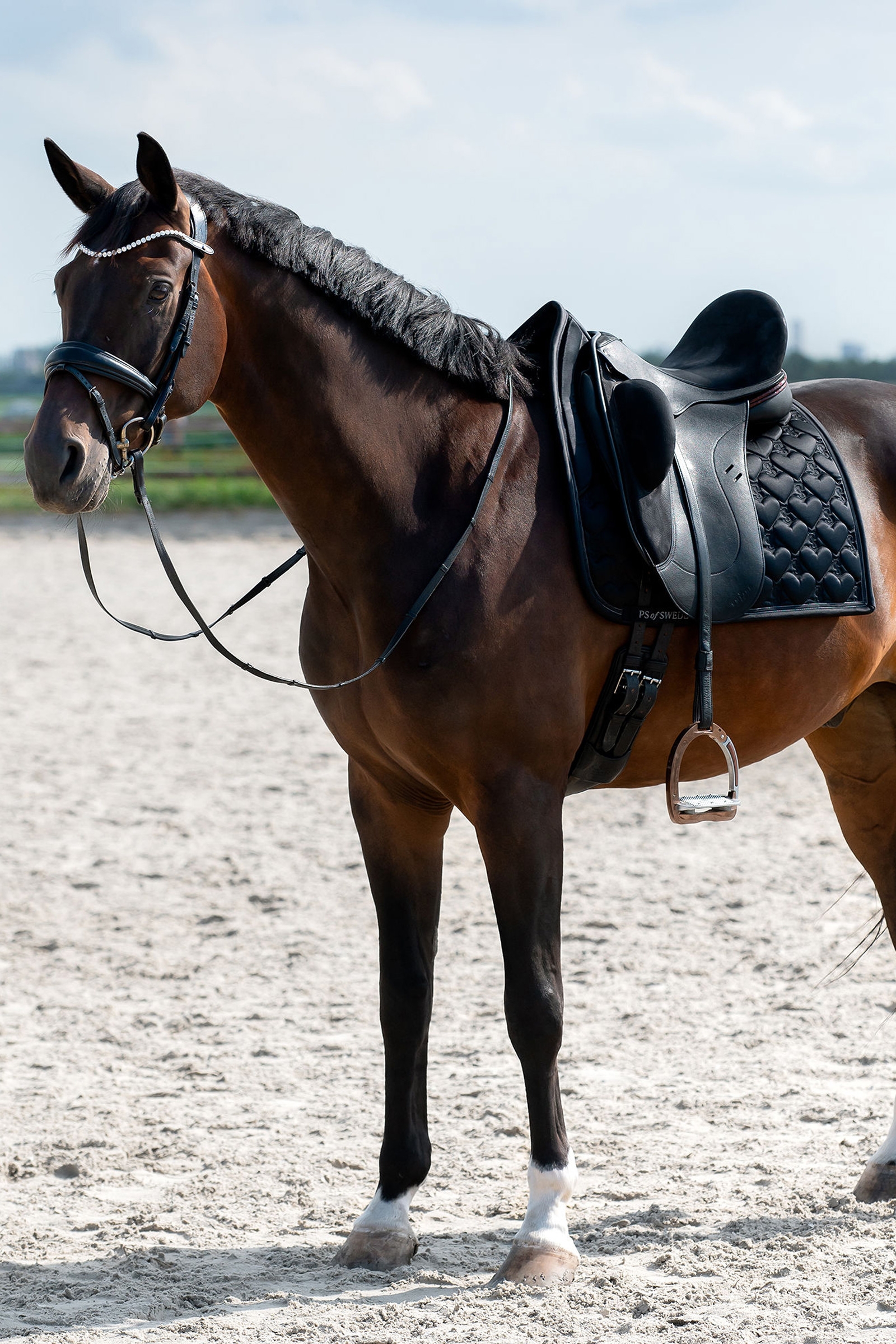 Tapis de dressage avec cœur PS of Sweden