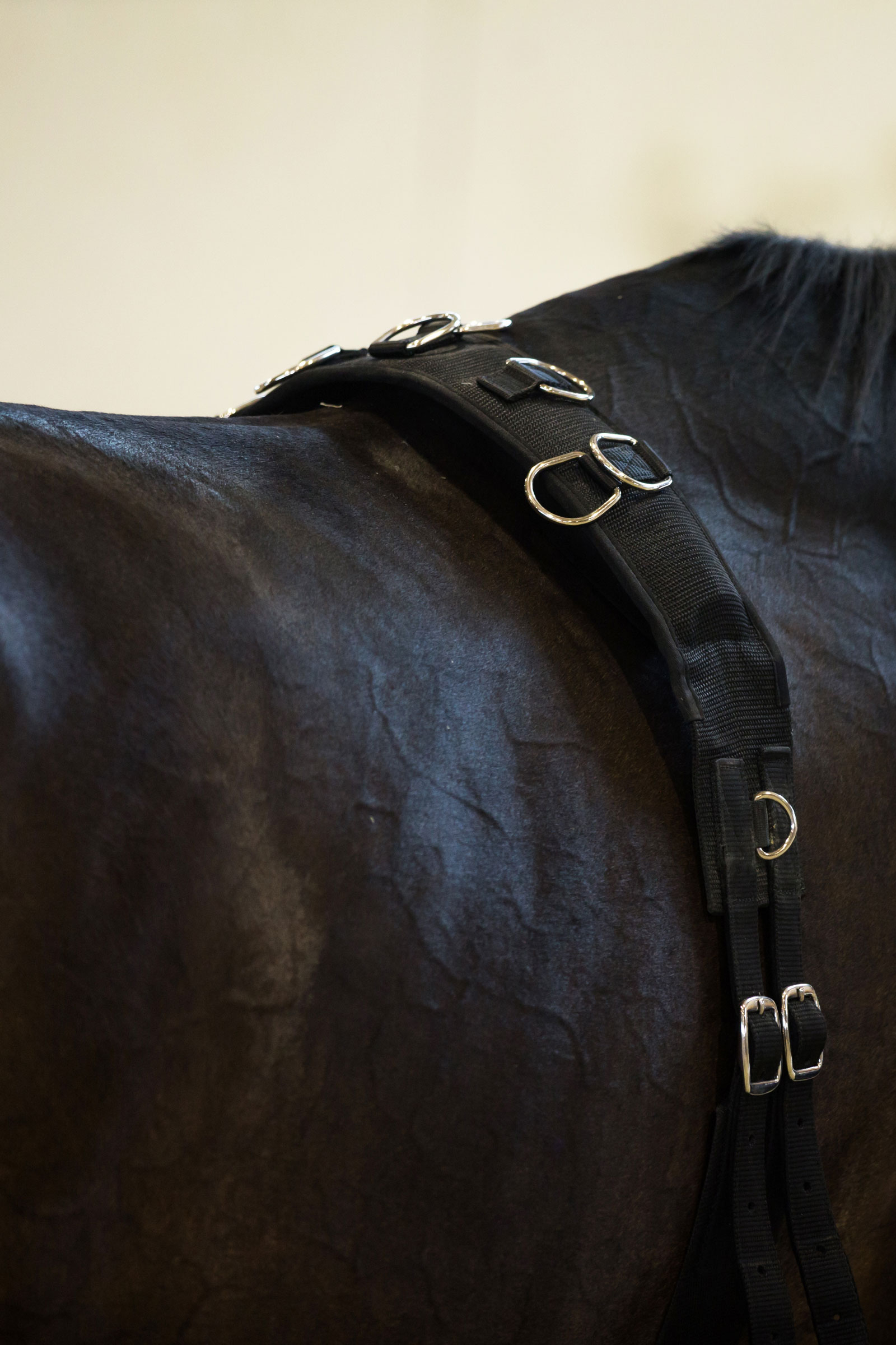 Surfaix en nylon pour longer et travailler à pied Horze