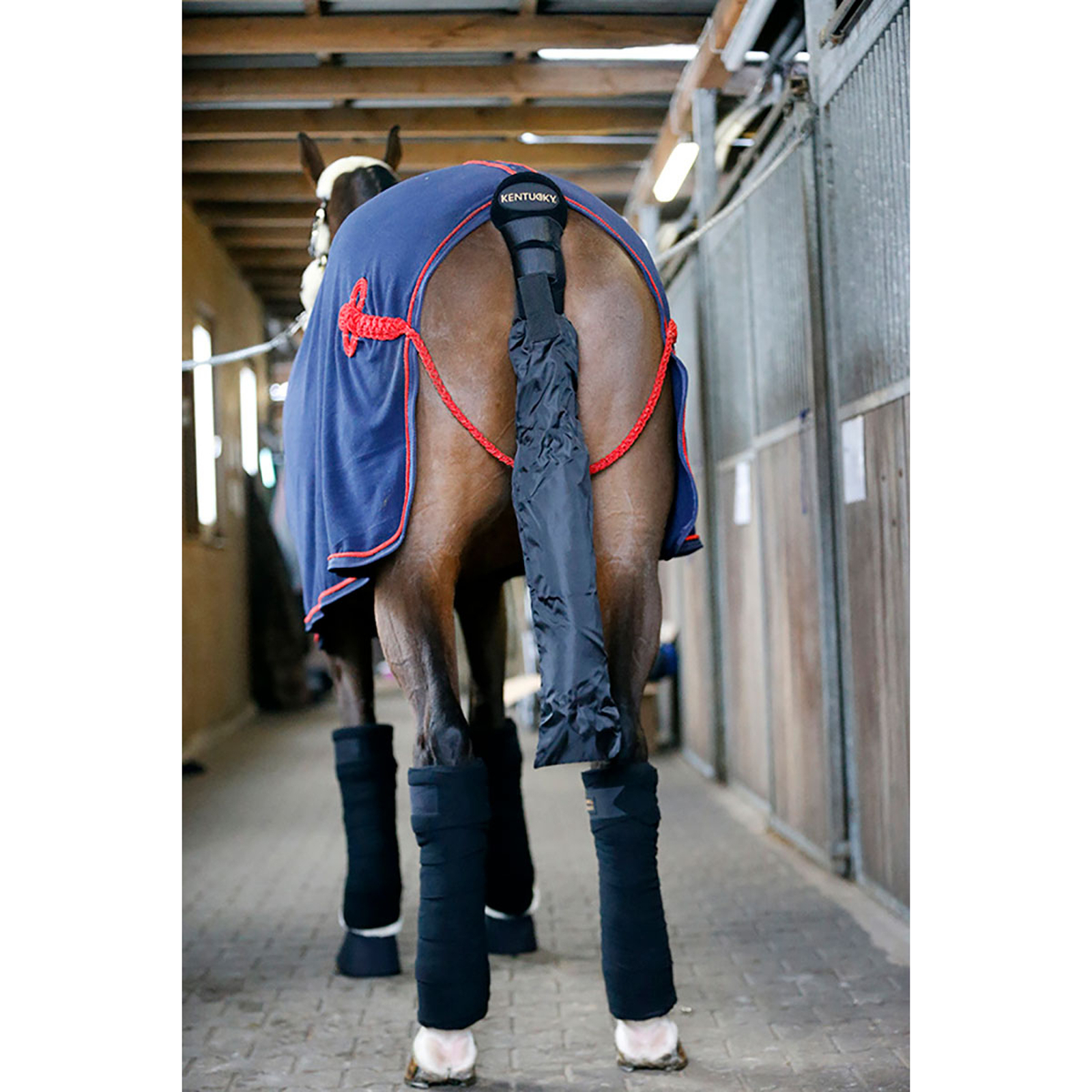 Prot&egrave;ge-queue / Sac &agrave; queue Kentucky Horsewear