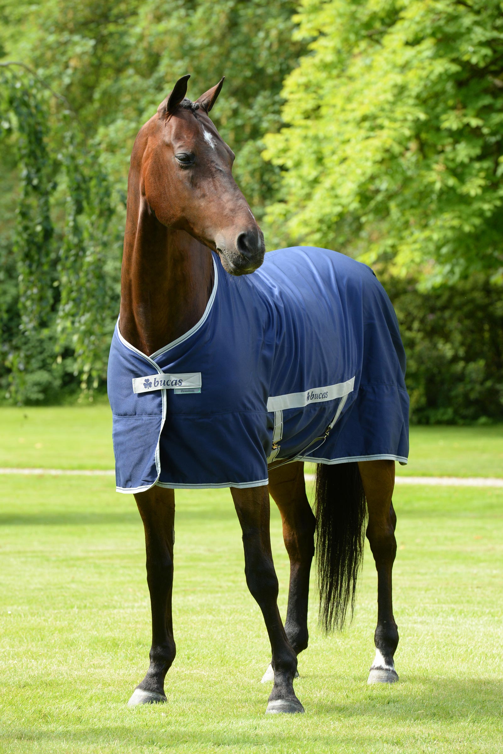 Bucas Freedom Twill Couverture écurie, 0 g