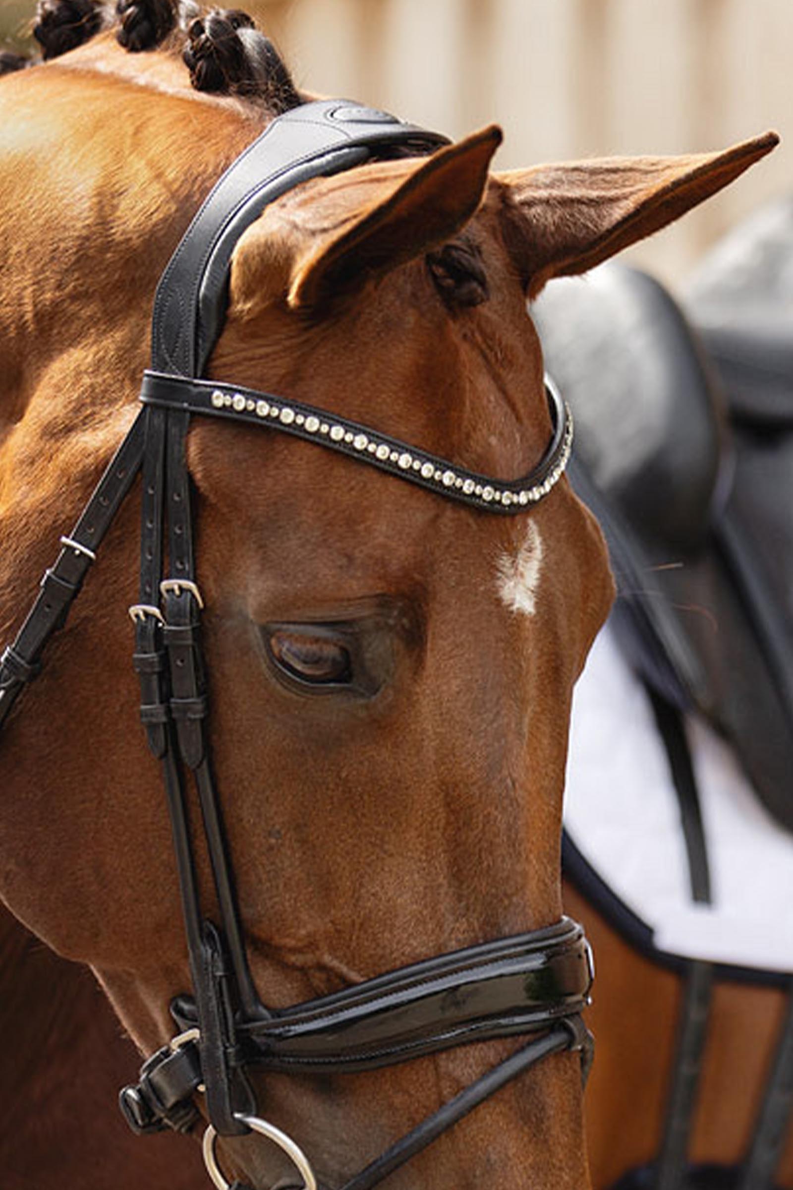 ANKY Anatomic Comfort Fit Bridon avec double pull back