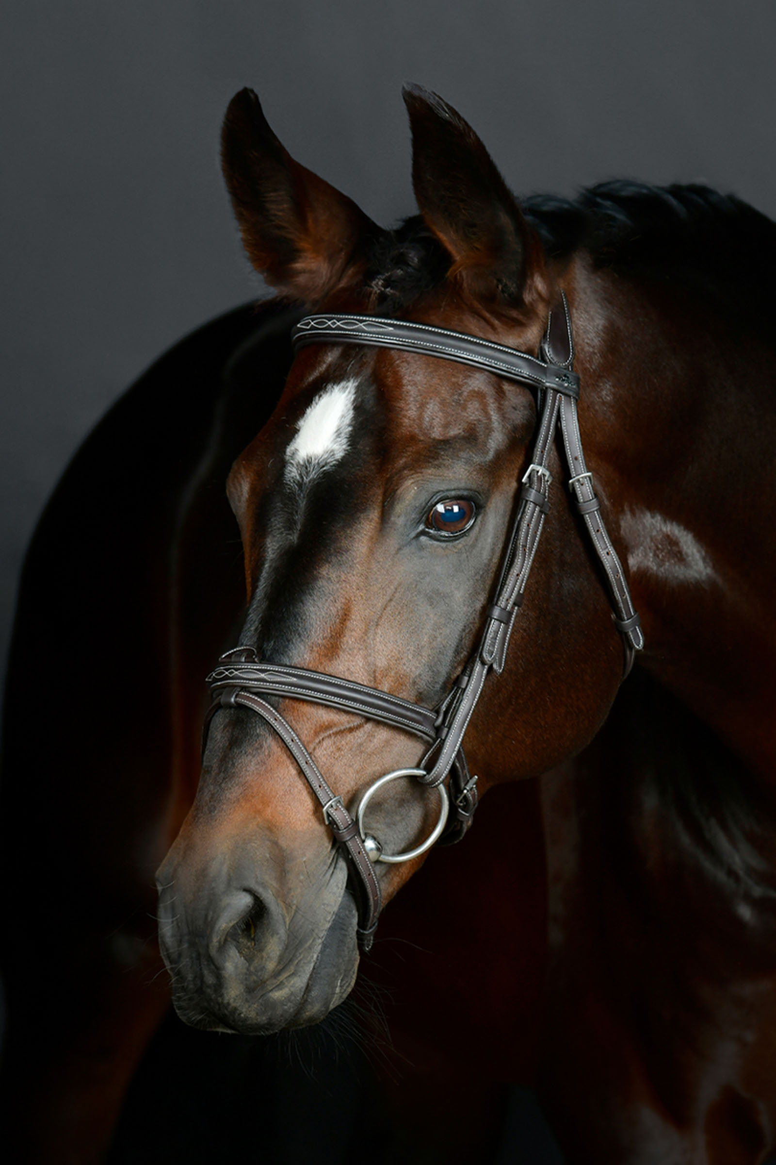 Collegiate Comfitec Opulux Fancy Stitch bride hanovrienne matelassée