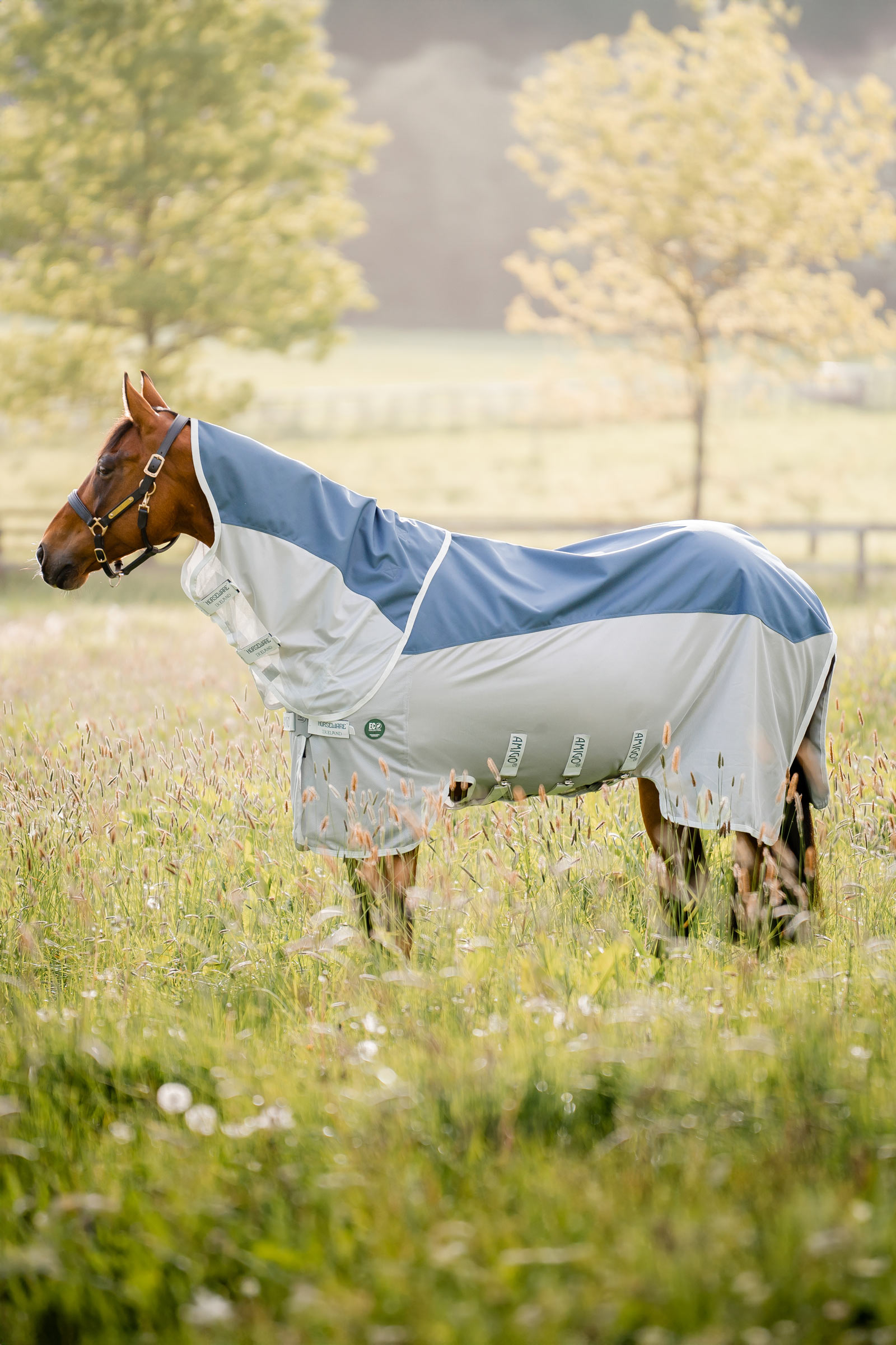 Horseware Amigo AmEco Combi couverture anti-mouches