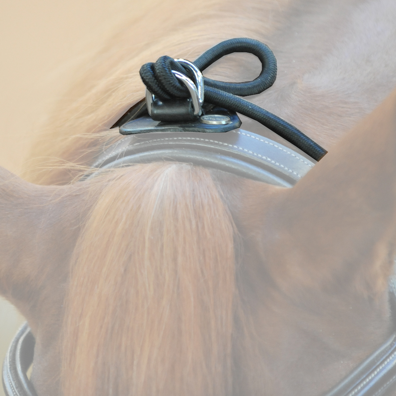 Enrênement élastique "Bungee" Kavalkade