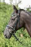 Kieffer Comfort Paris Bridle