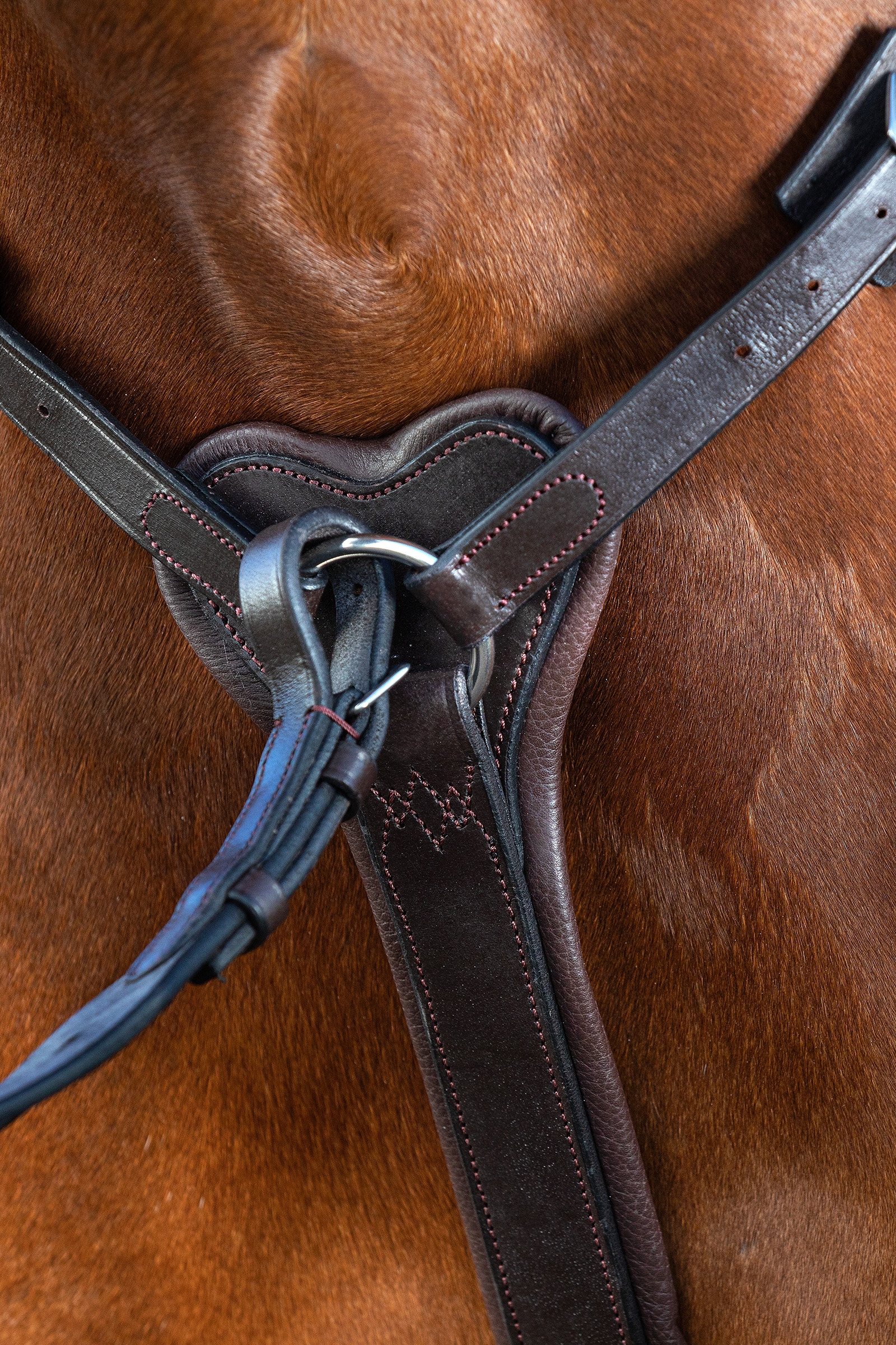 Collier Micklem Rambo Horseware