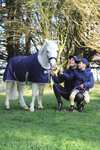 Bucas Freedom couverture d'extérieur légère pour poney, 0g