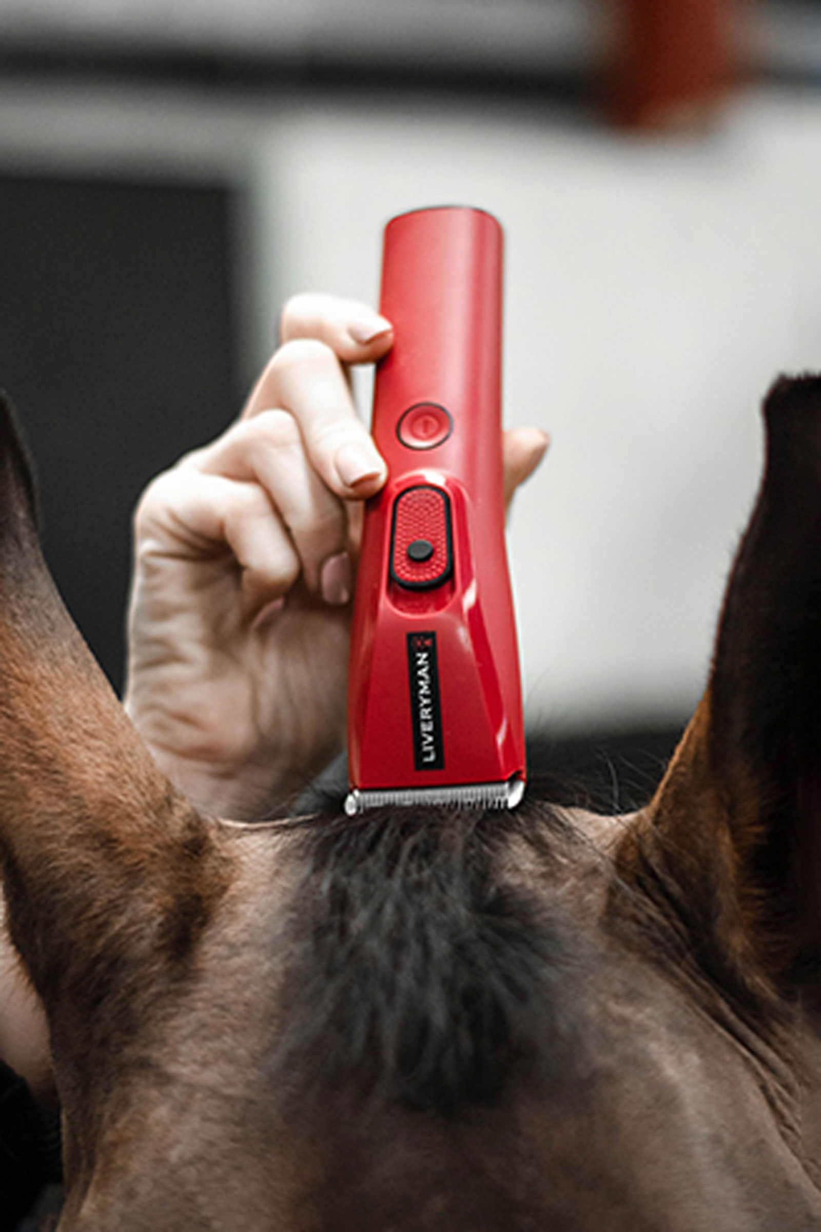 Liveryman Nova Horse Trimmer