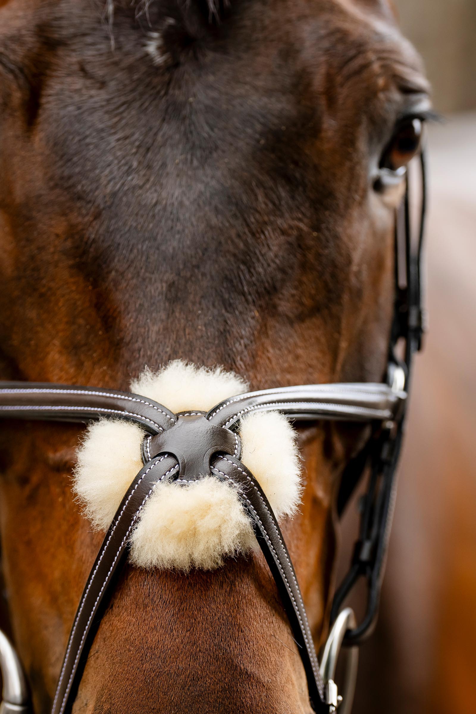 Horseware bridon &agrave; muserolle crois&eacute;e