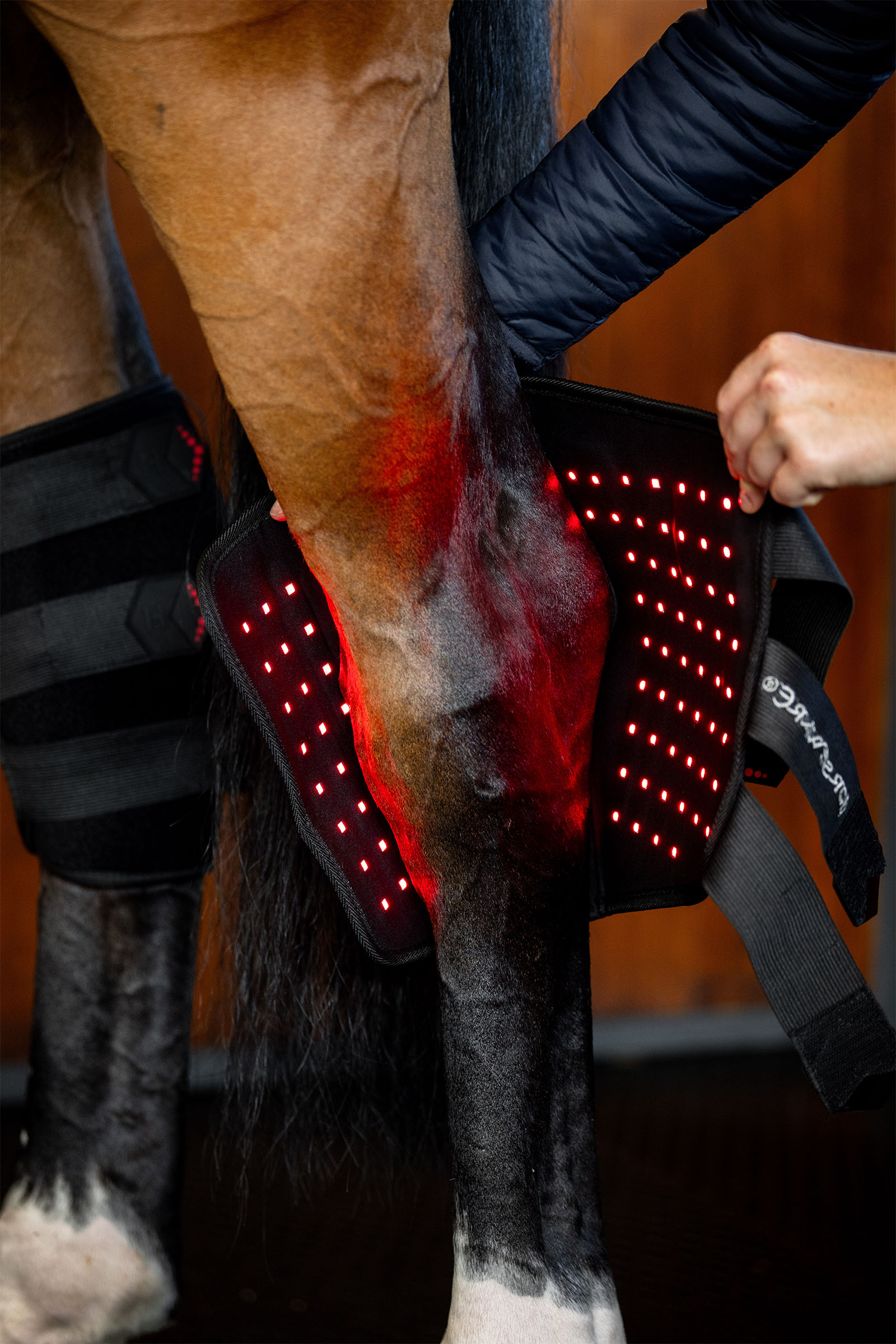 Horseware protège-jambes thérapeutique LED à lumière rouge (1 pce)